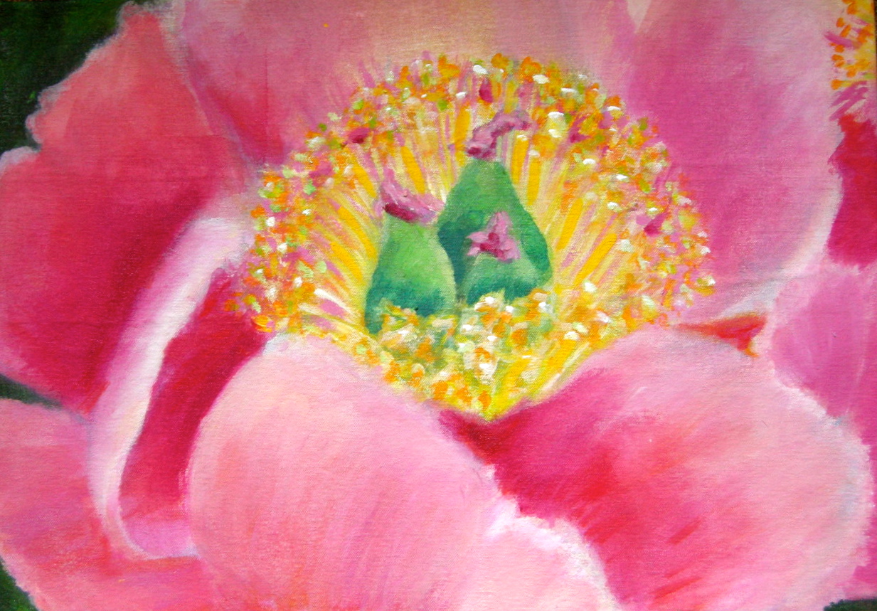 Pink Acrylic 3