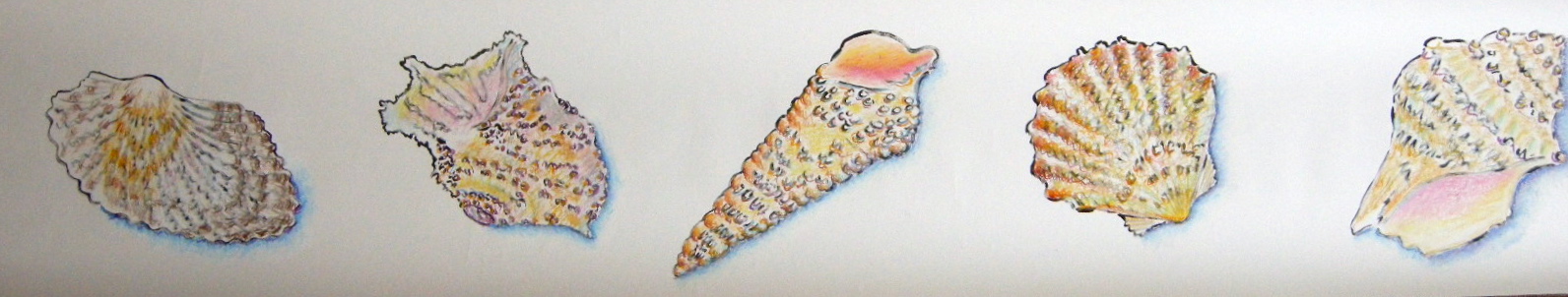 Shell Panel