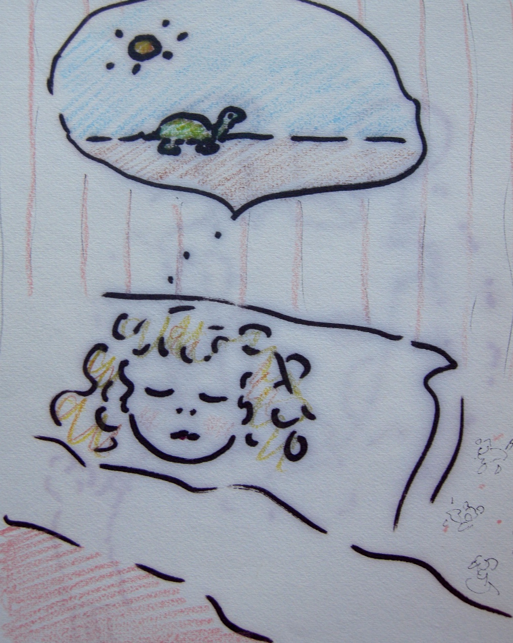 Turtle Dream