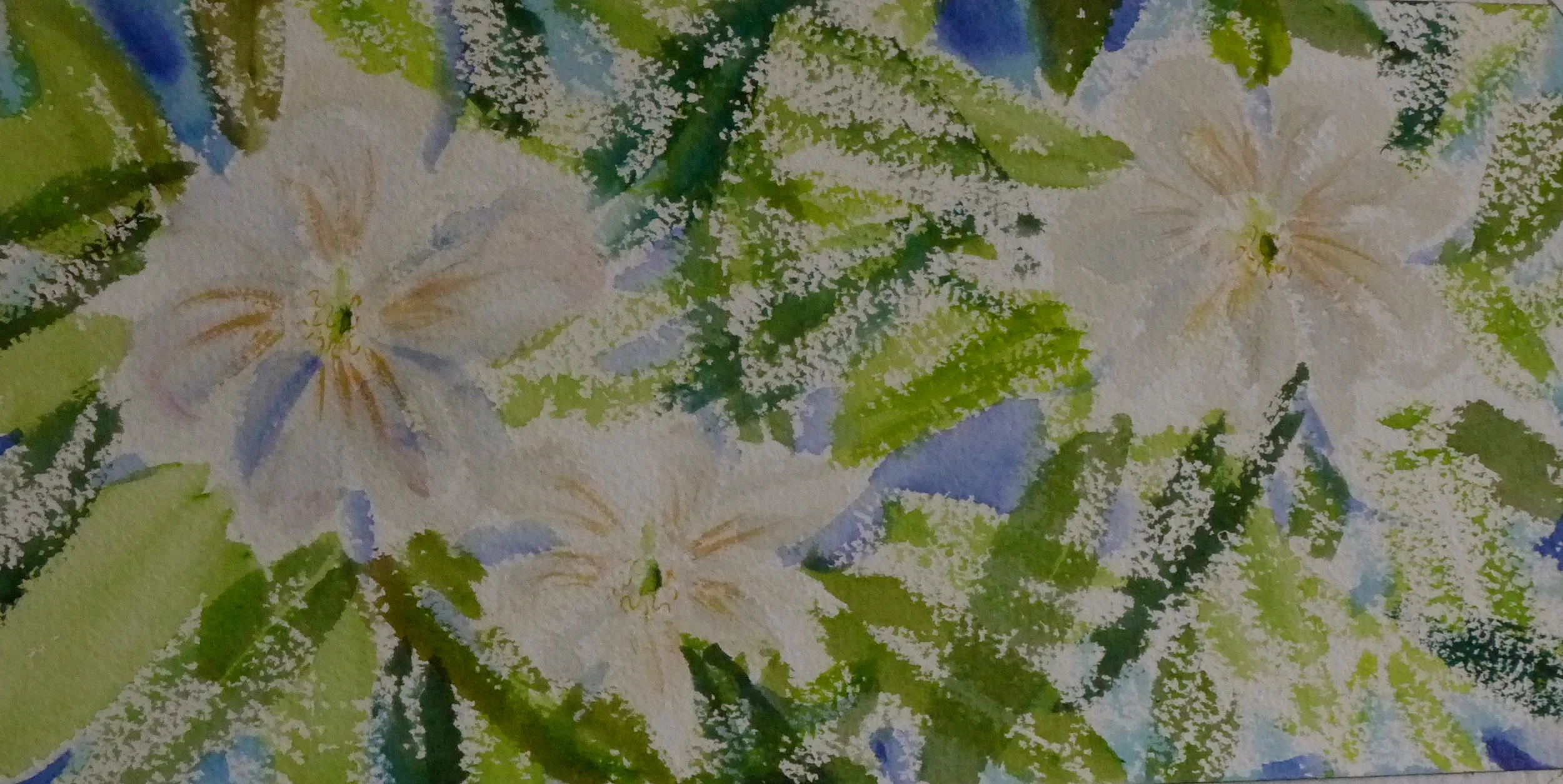 Marge's Magnolias 6"x12" watercolor