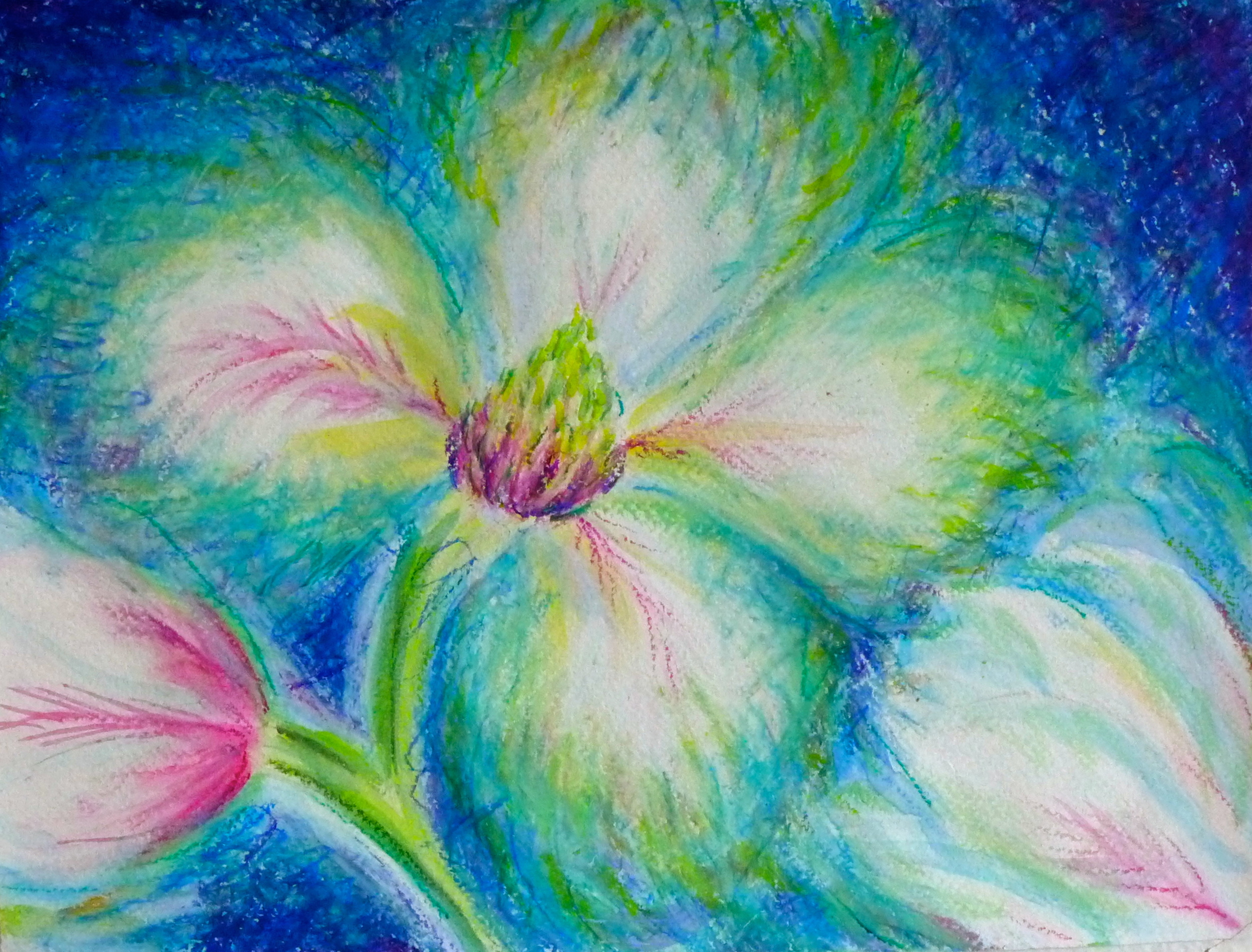 Magnolias, 9"x12" oil pastel