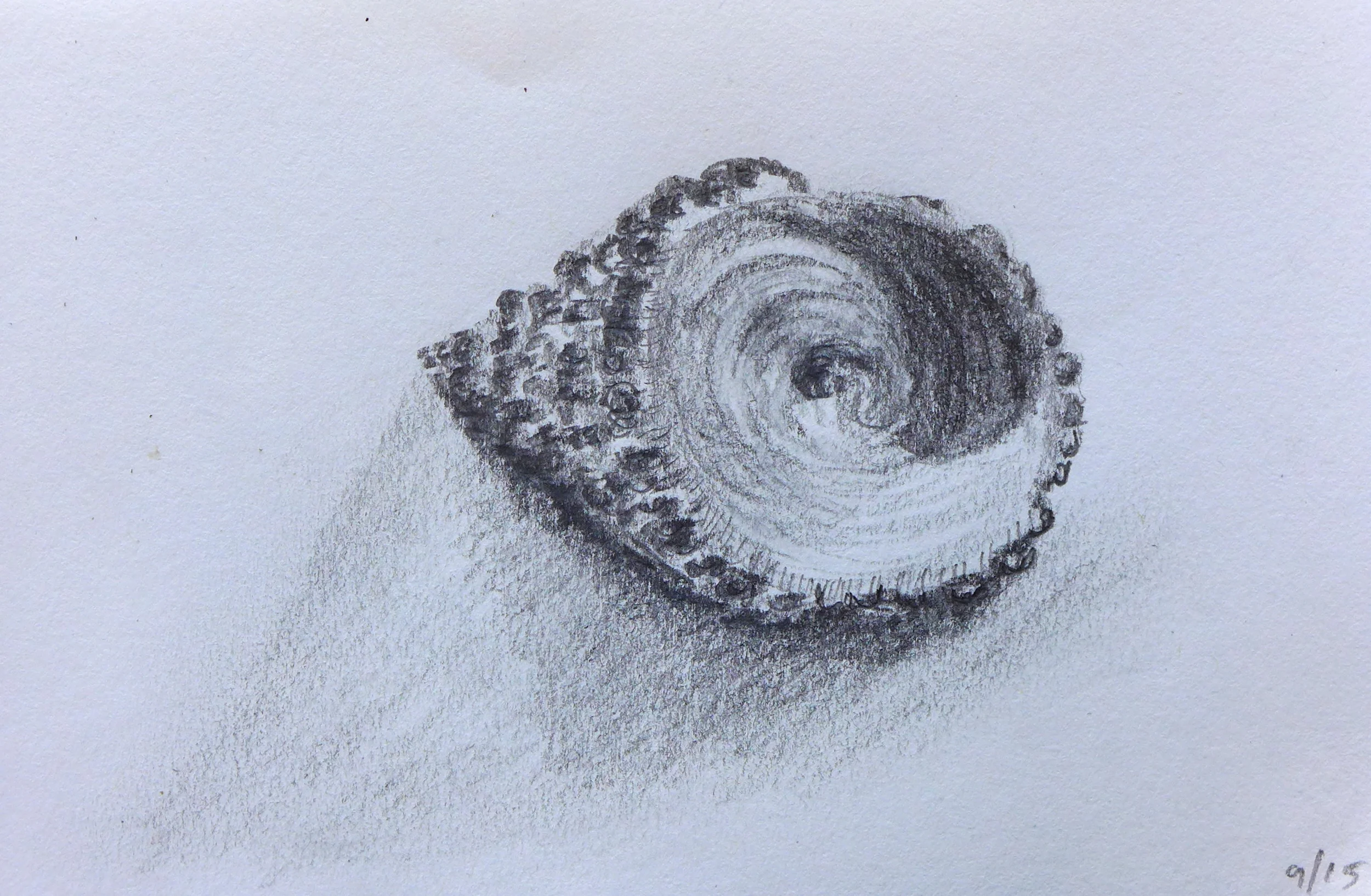 Pencil Shell