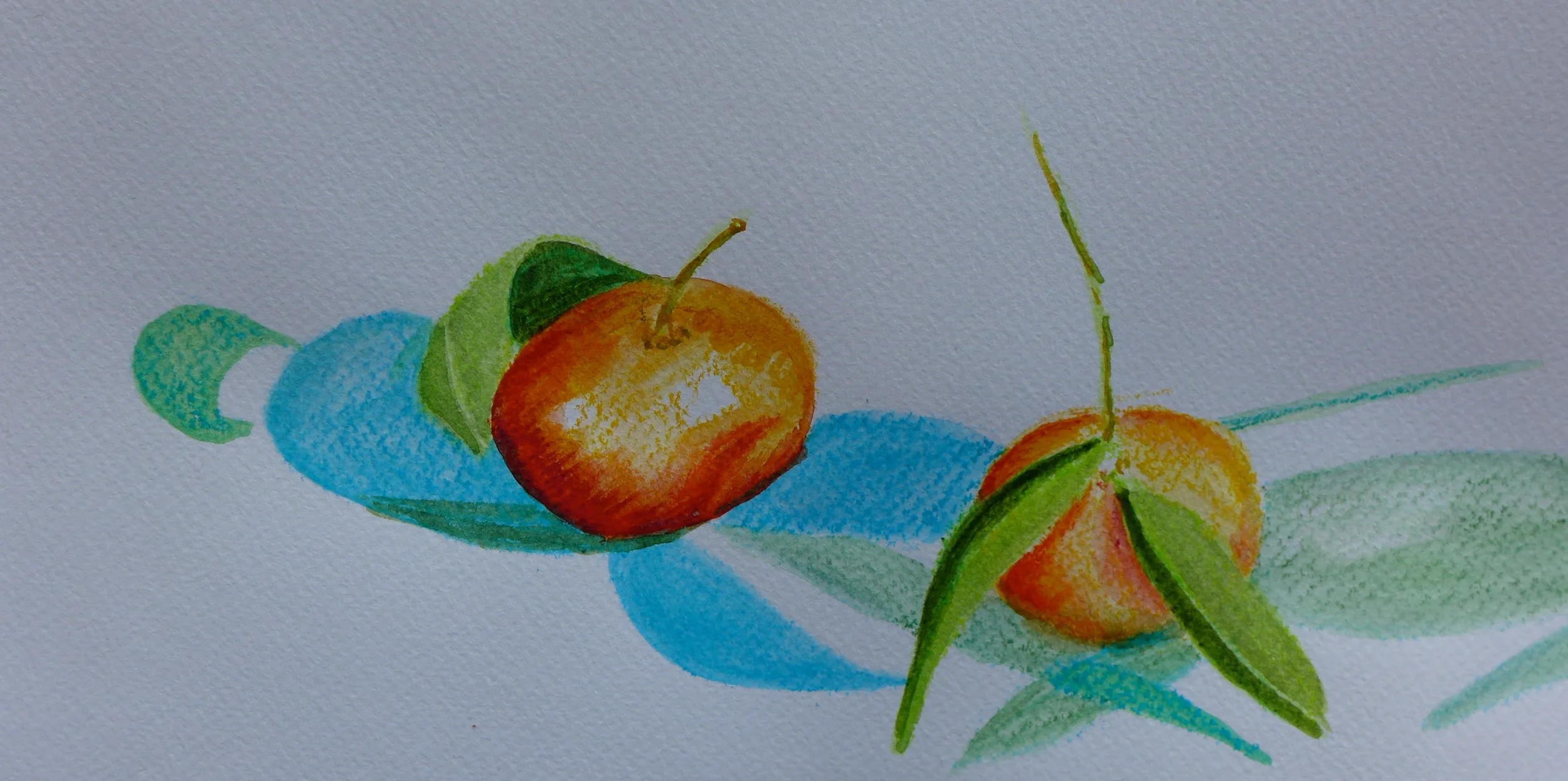 Clementines, 5.5"x11" watercolor
