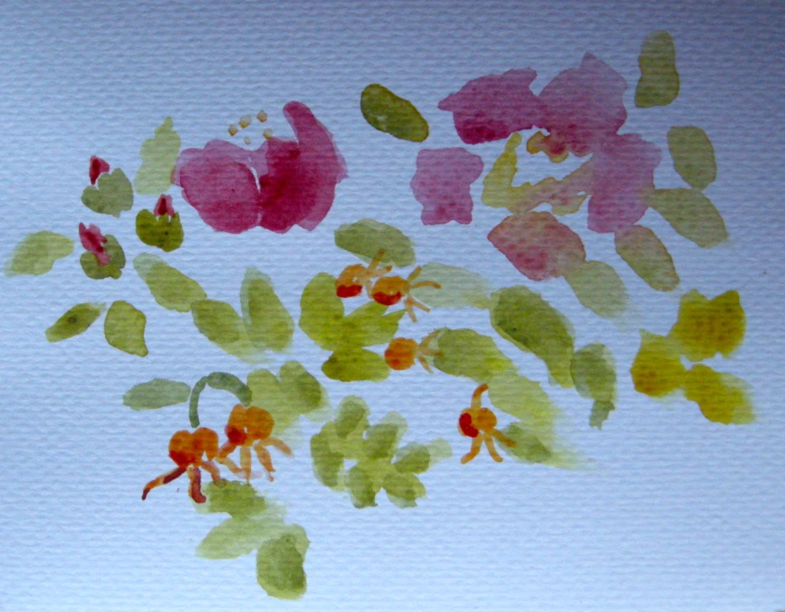 Beach Roses, watercolor
