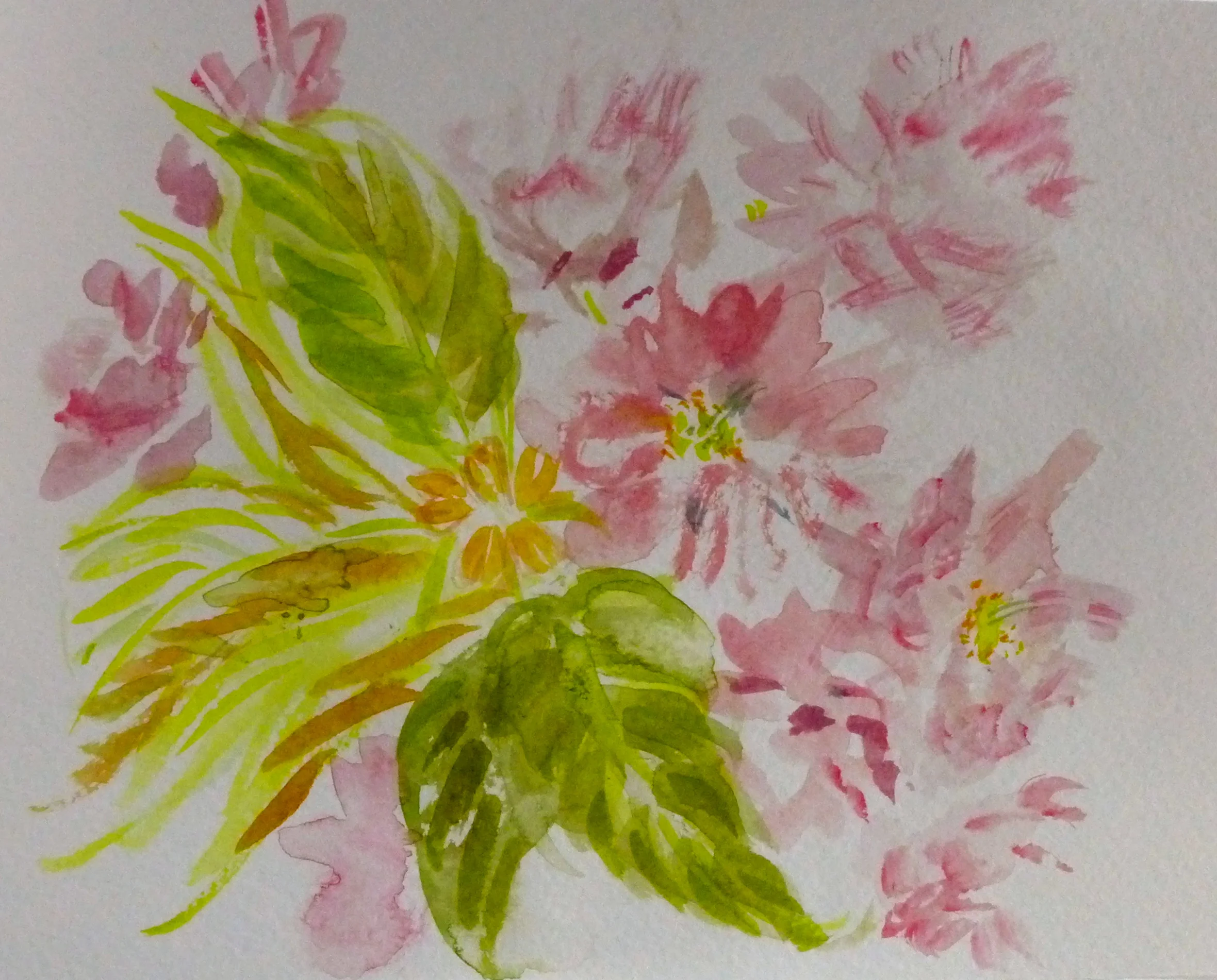 Cherry, 4"x6" watercolor