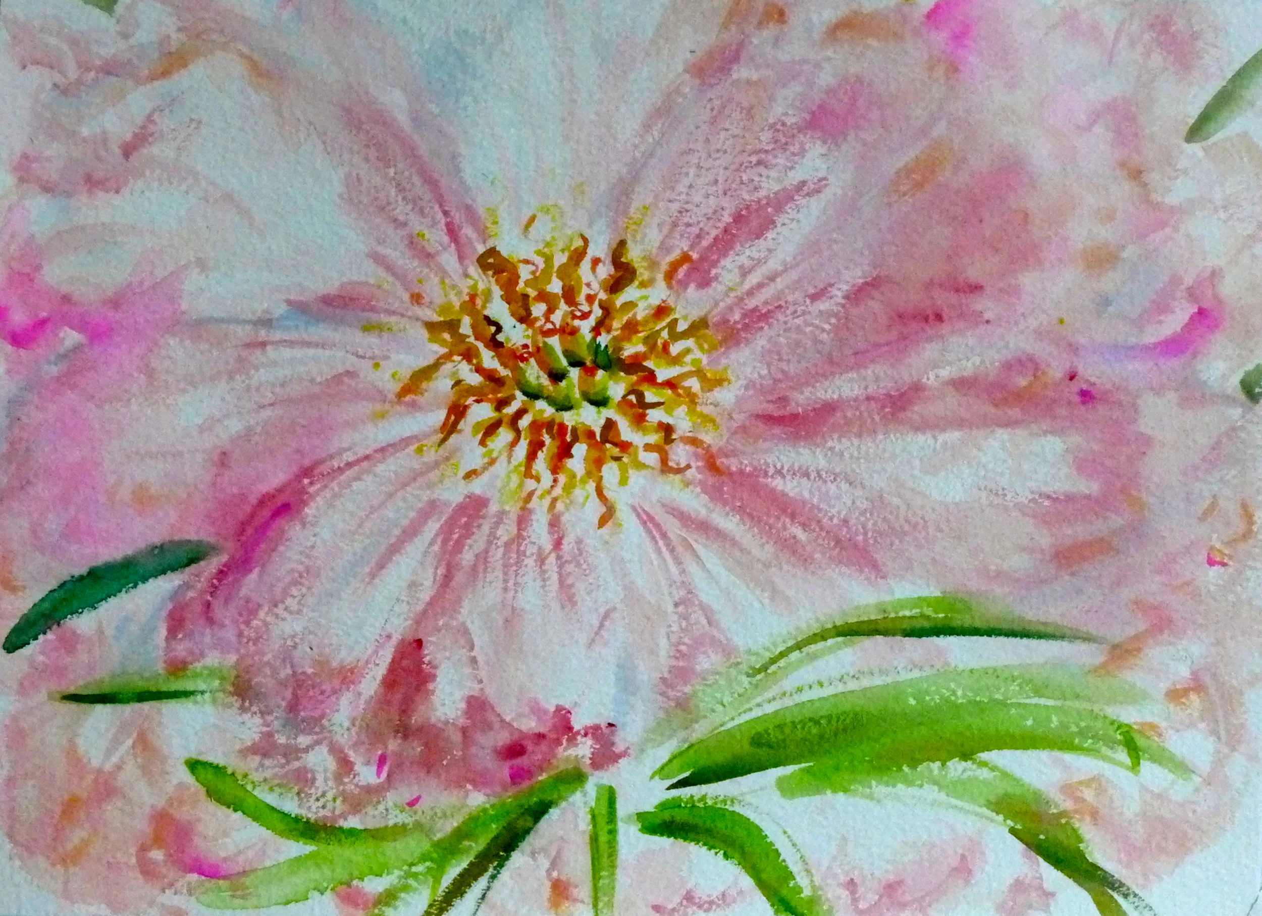 Peonie, 9"x12" watercolor