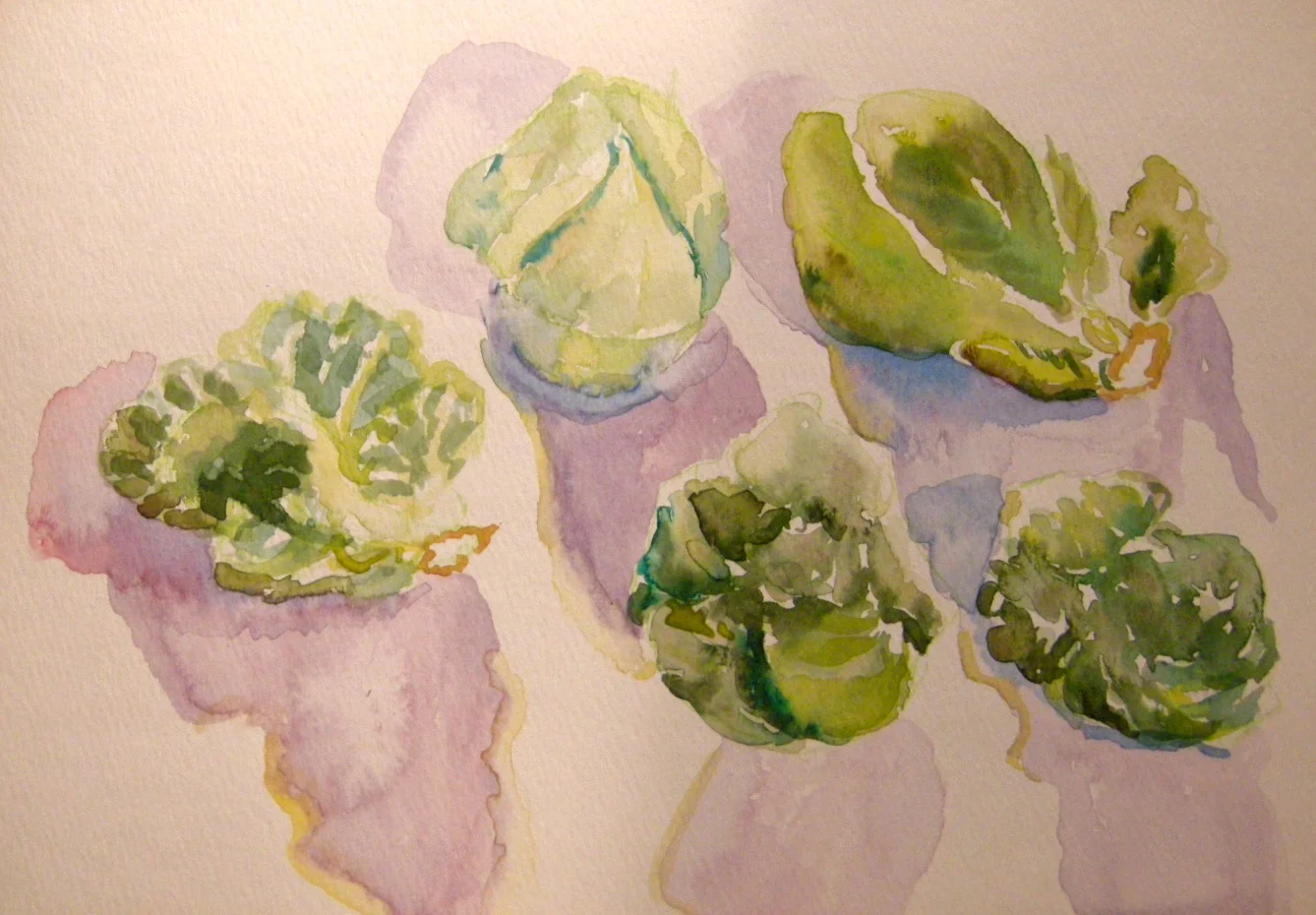 Brussel Sprouts, watercolor