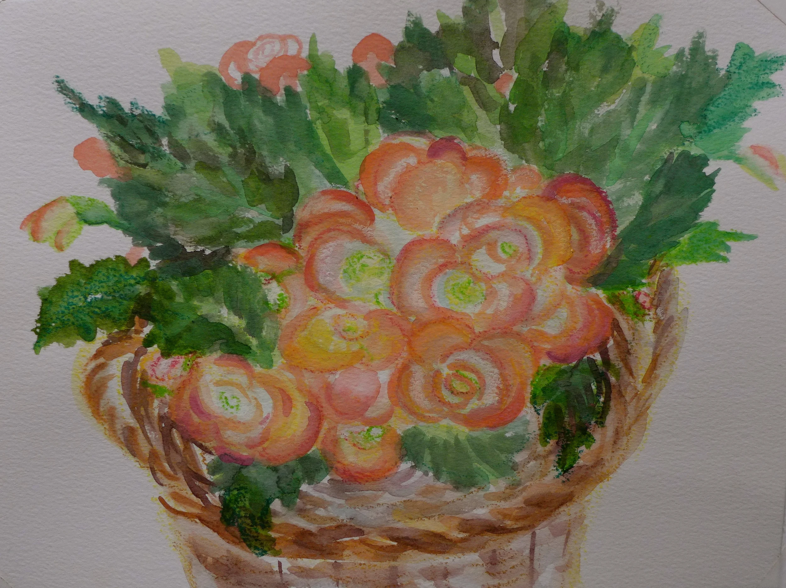 Begonia Basket, 10"x14" watercolor