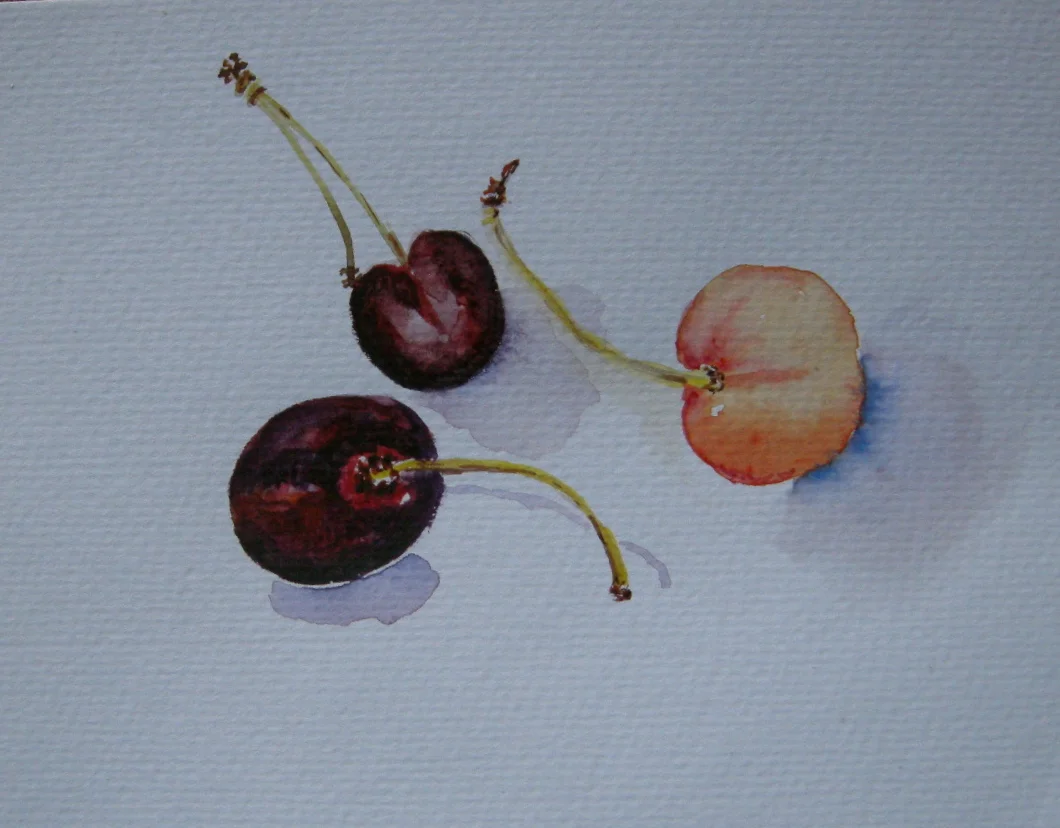 Three Cherries, watercolor