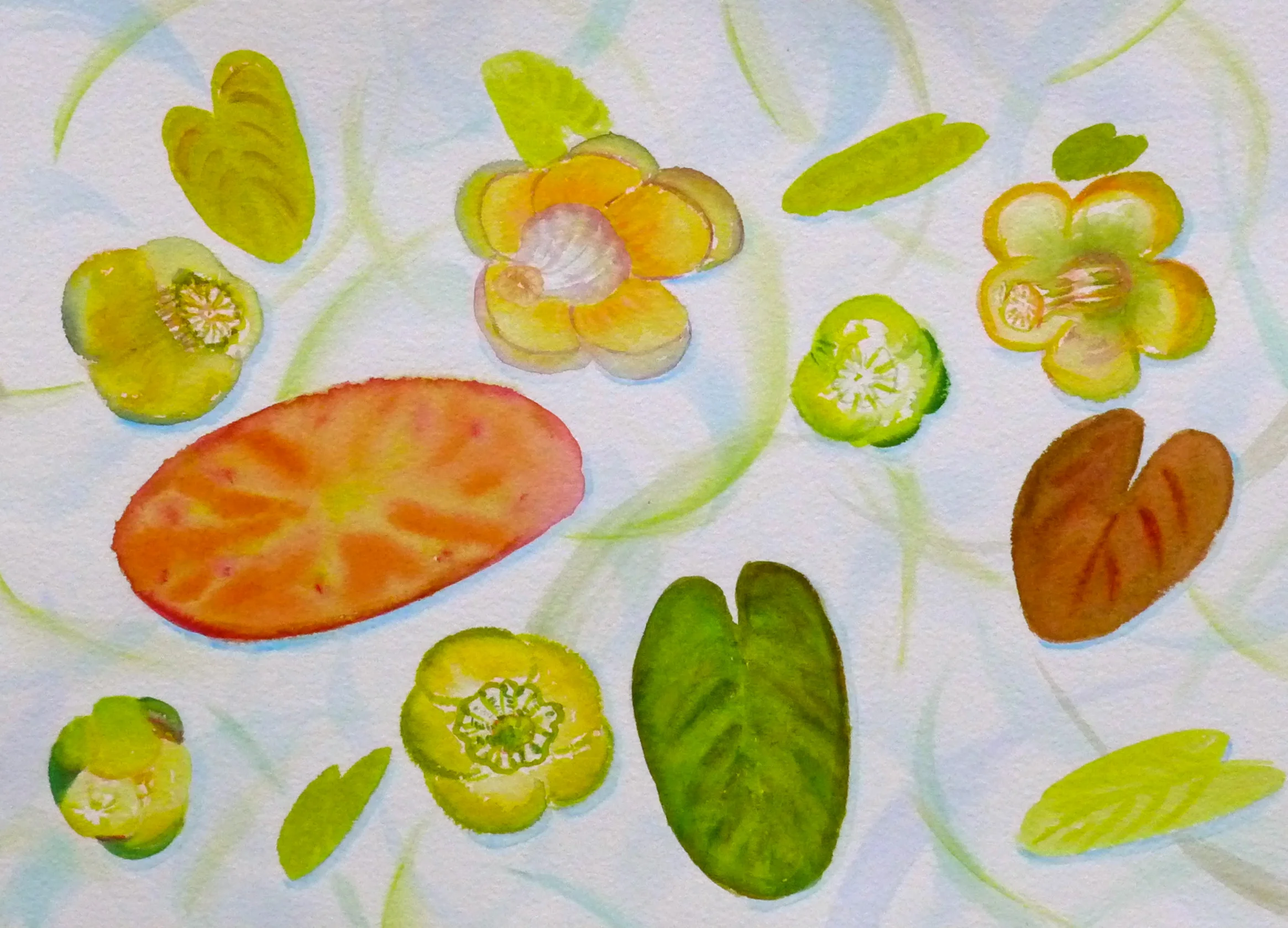 Water Lilies, Nadine and Scott's , 10"x14'watercoor