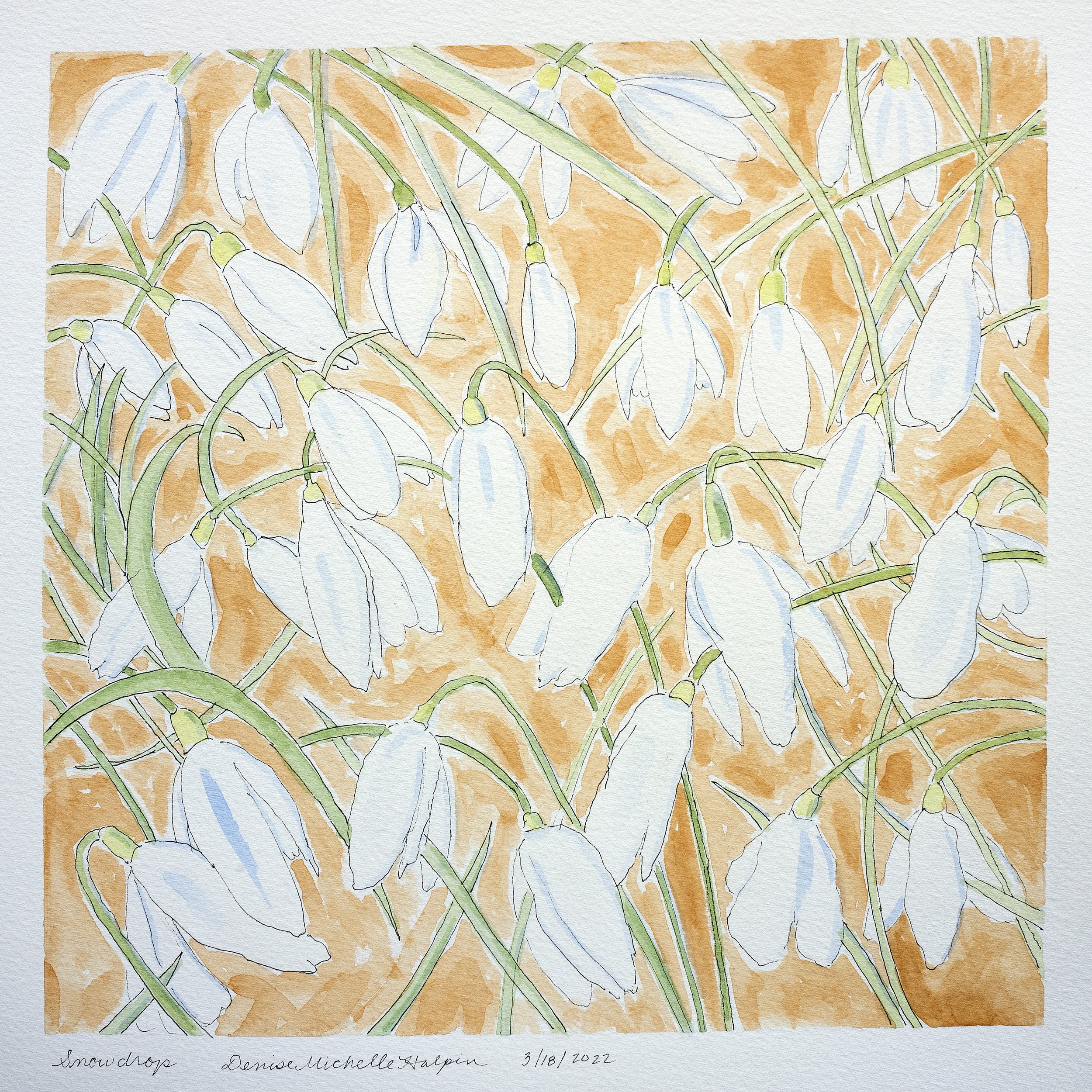 Snow Drops