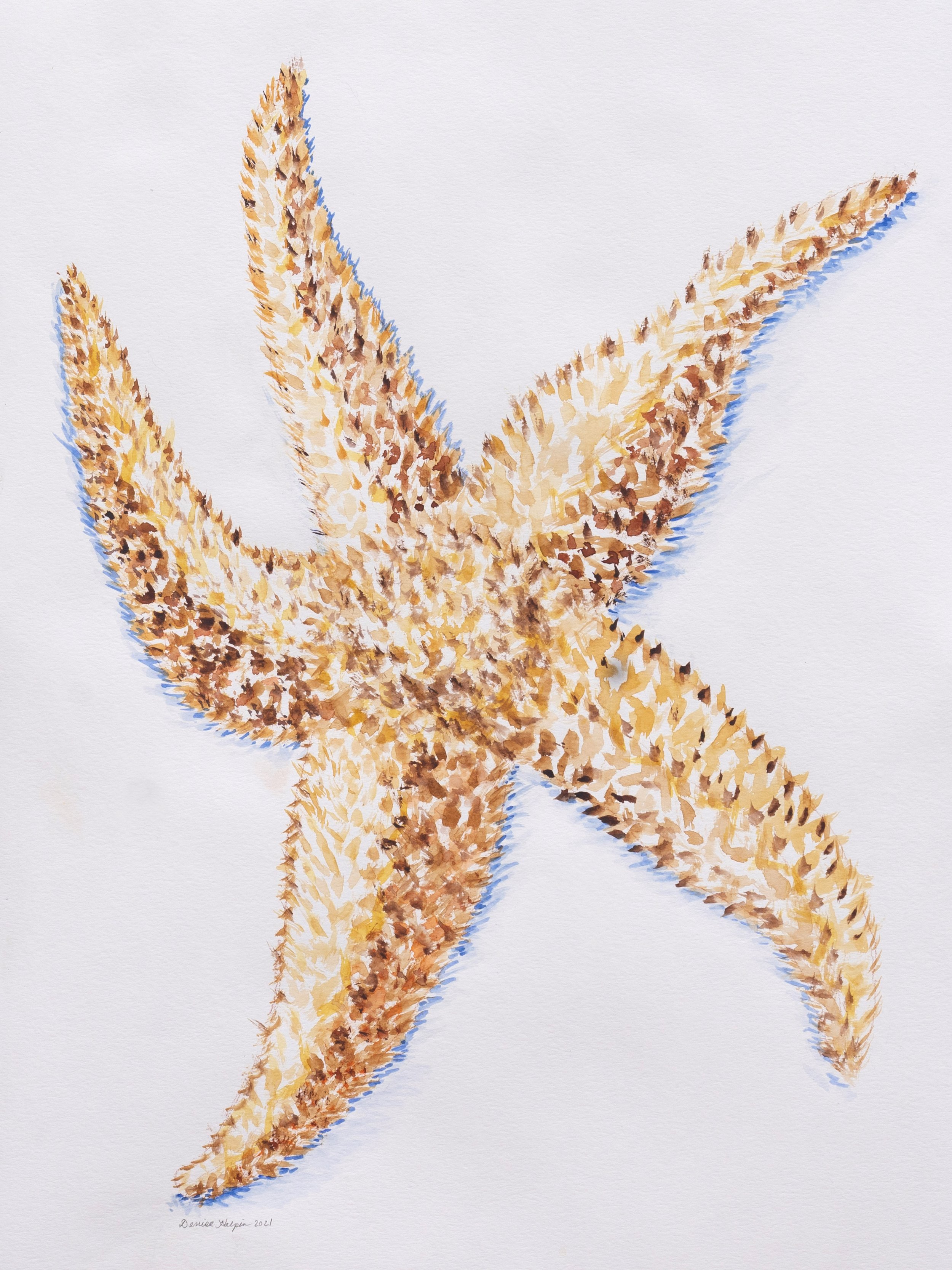 Starfish