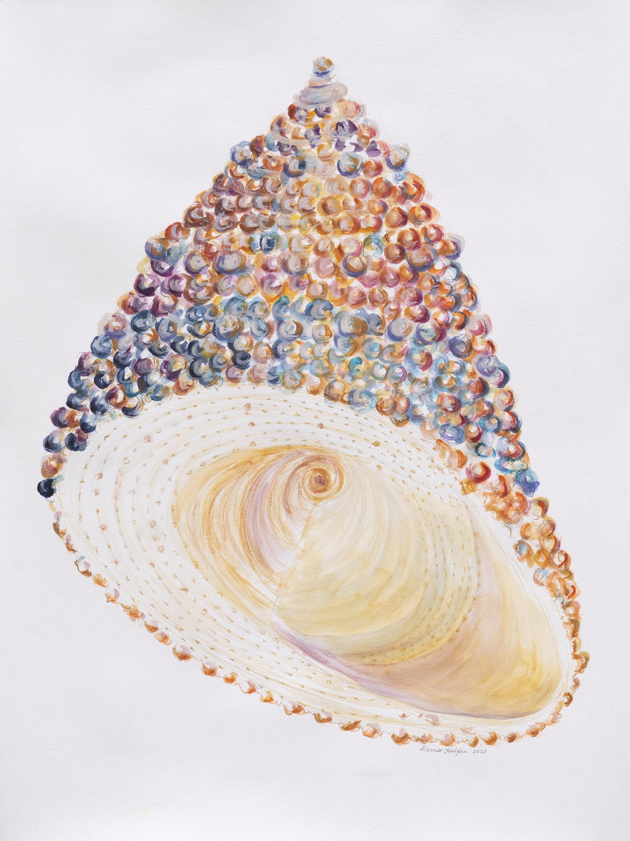 Spinning Top