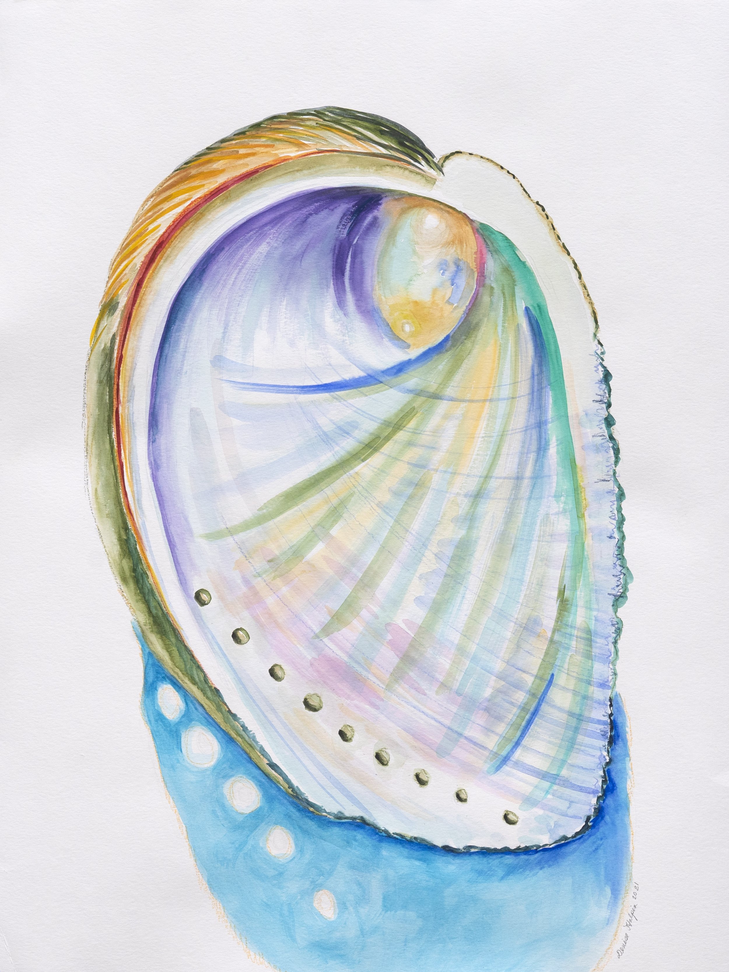 Rainbow Reflector