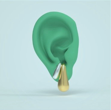 Picture 1_ear2.png