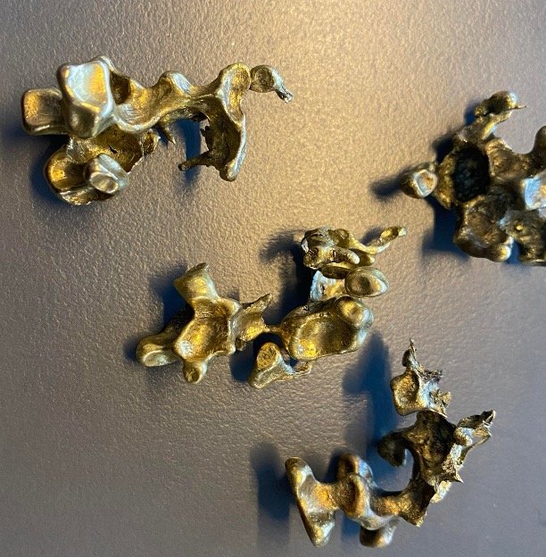 Picture 8.jpg