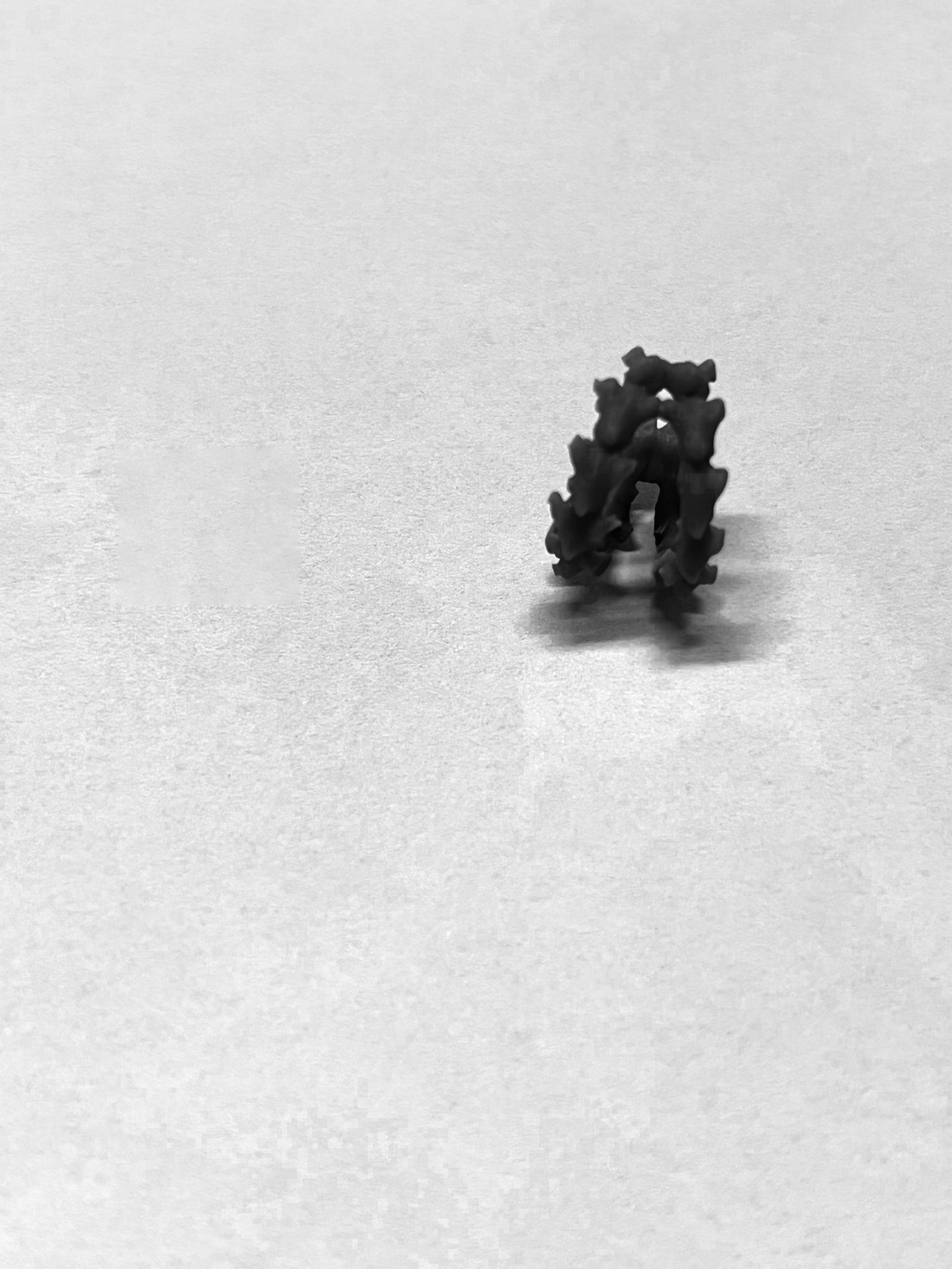 315334766_1186944455537483_287739445463212134_n.jpg