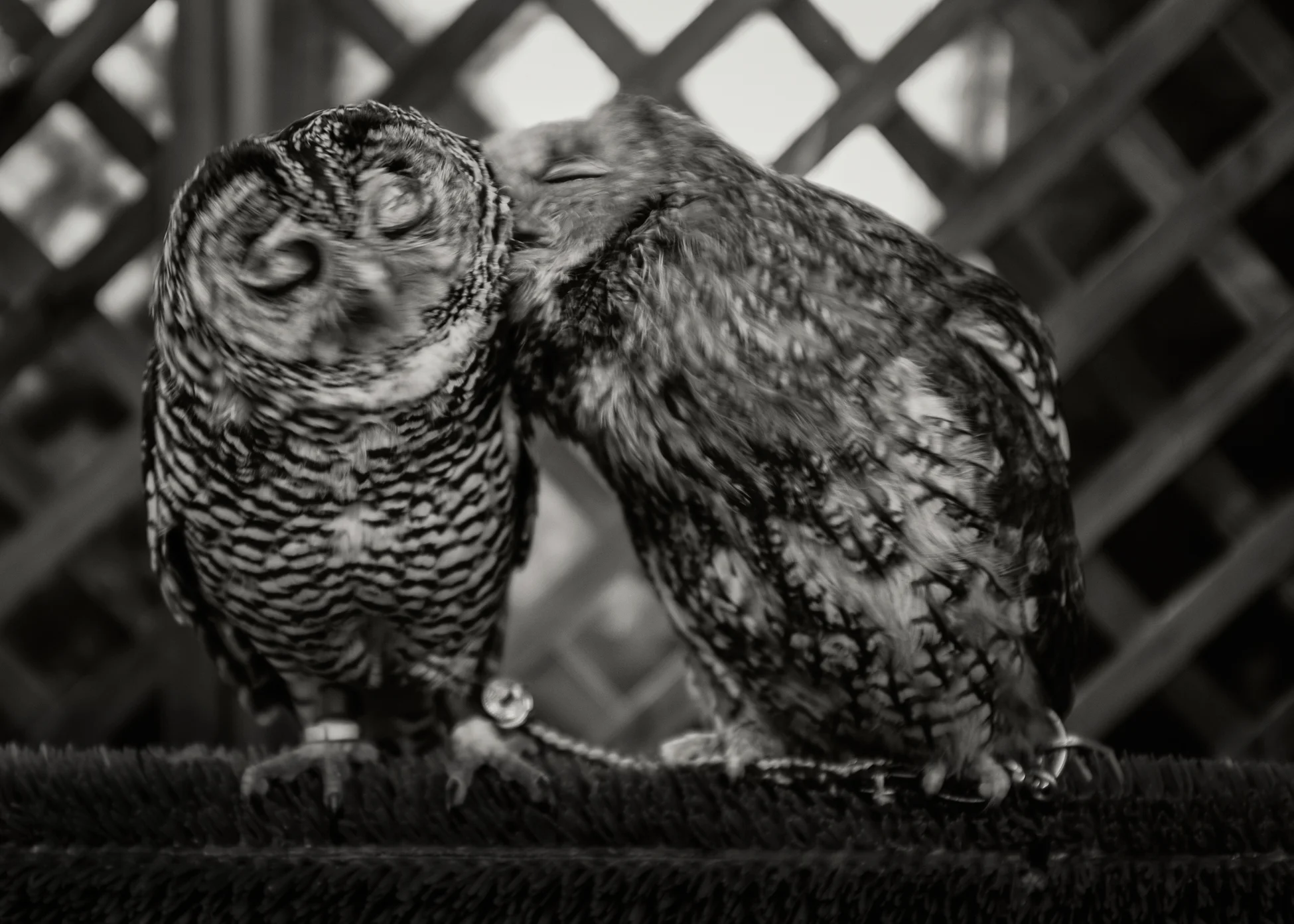 30-dec-15-101-Edit.jpg