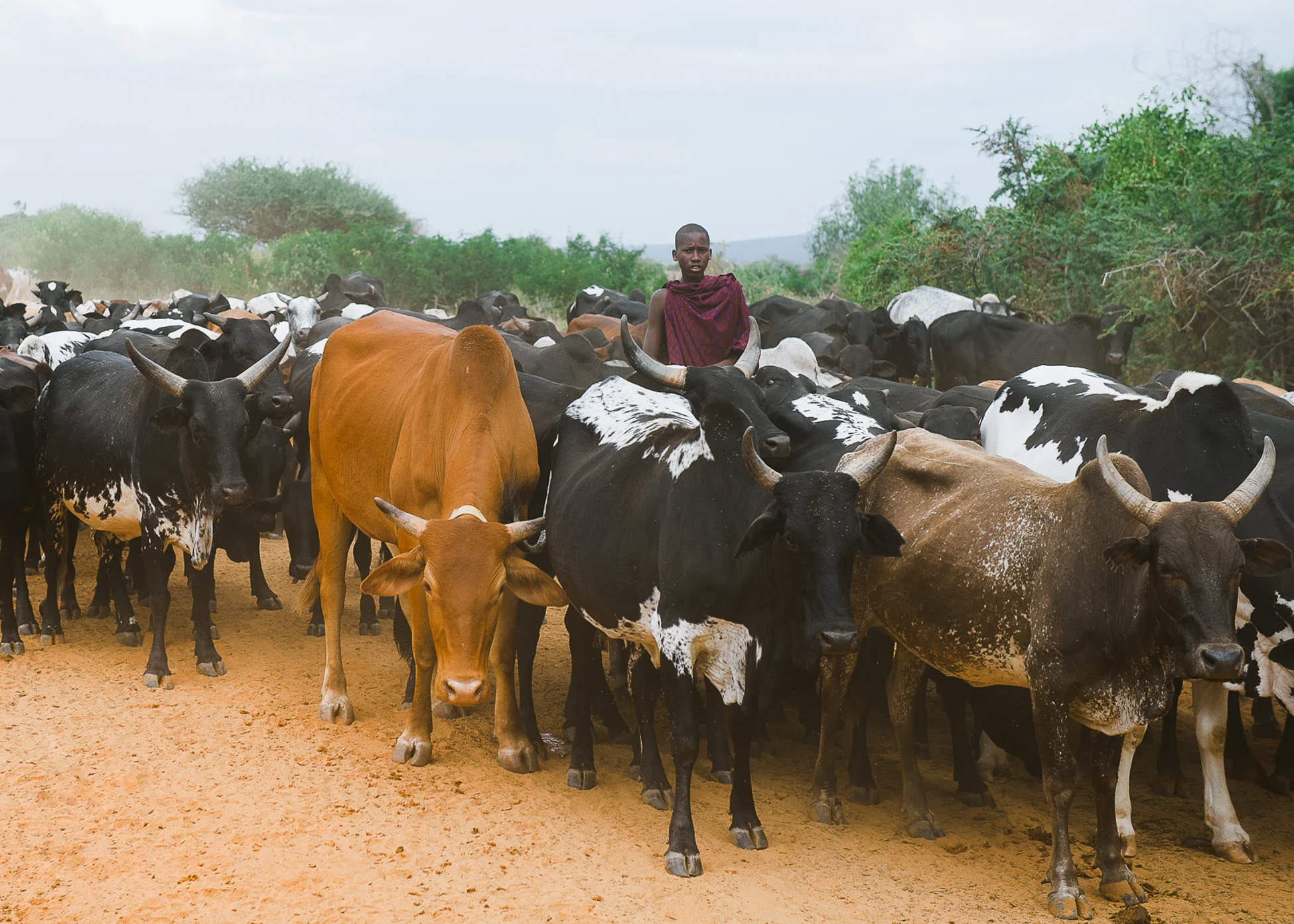 12-jun-tanzania-2014-Edit.jpg