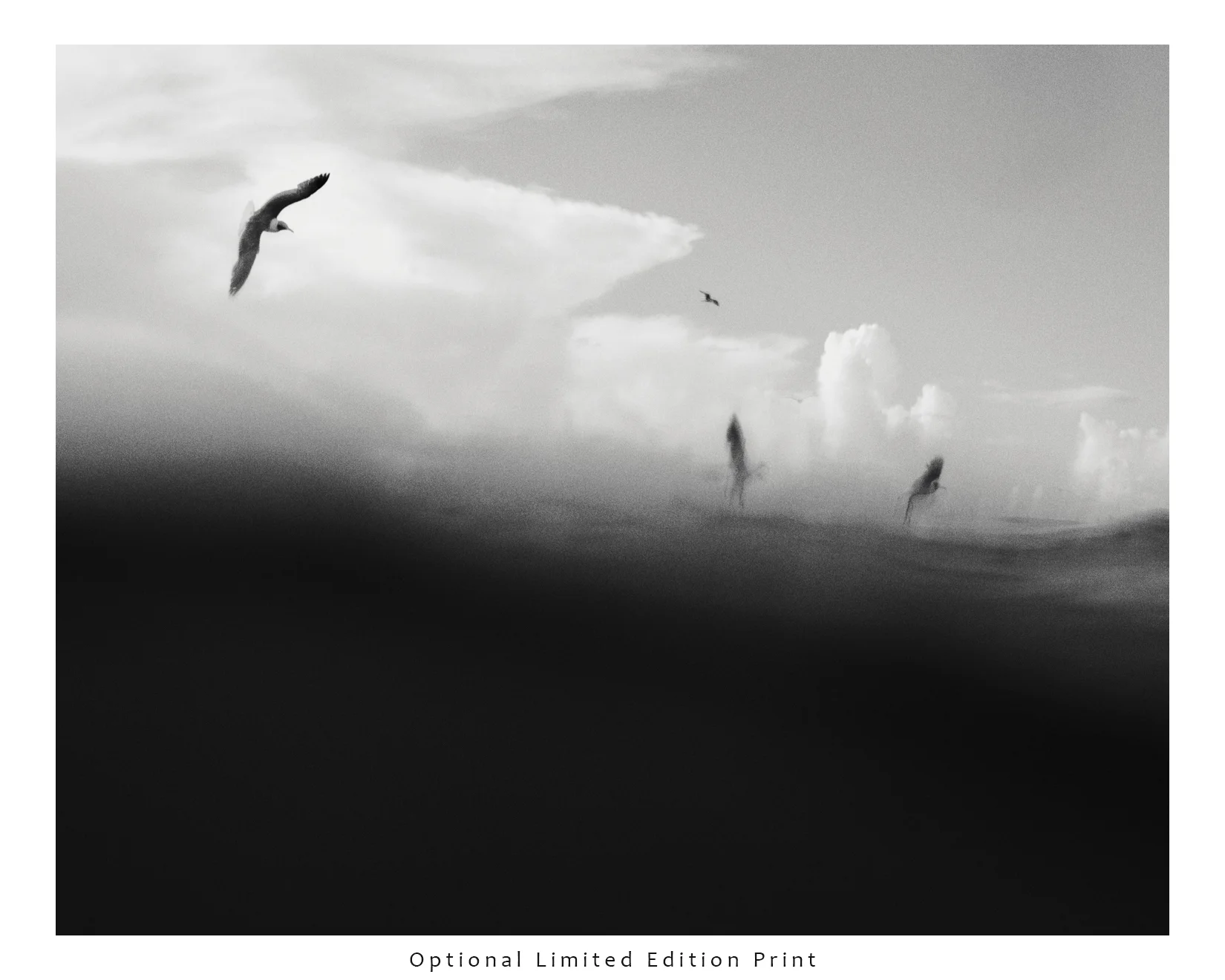 14-jul-12-492-Edit-Edit.jpg