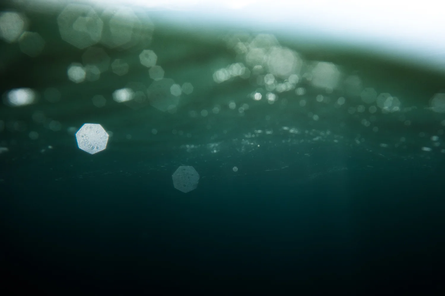 untitled-2094.jpg