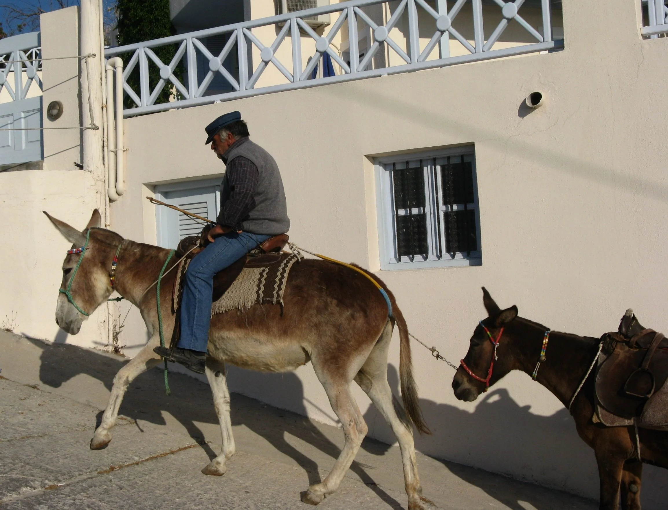 Donkey driver, Santorini, Greece