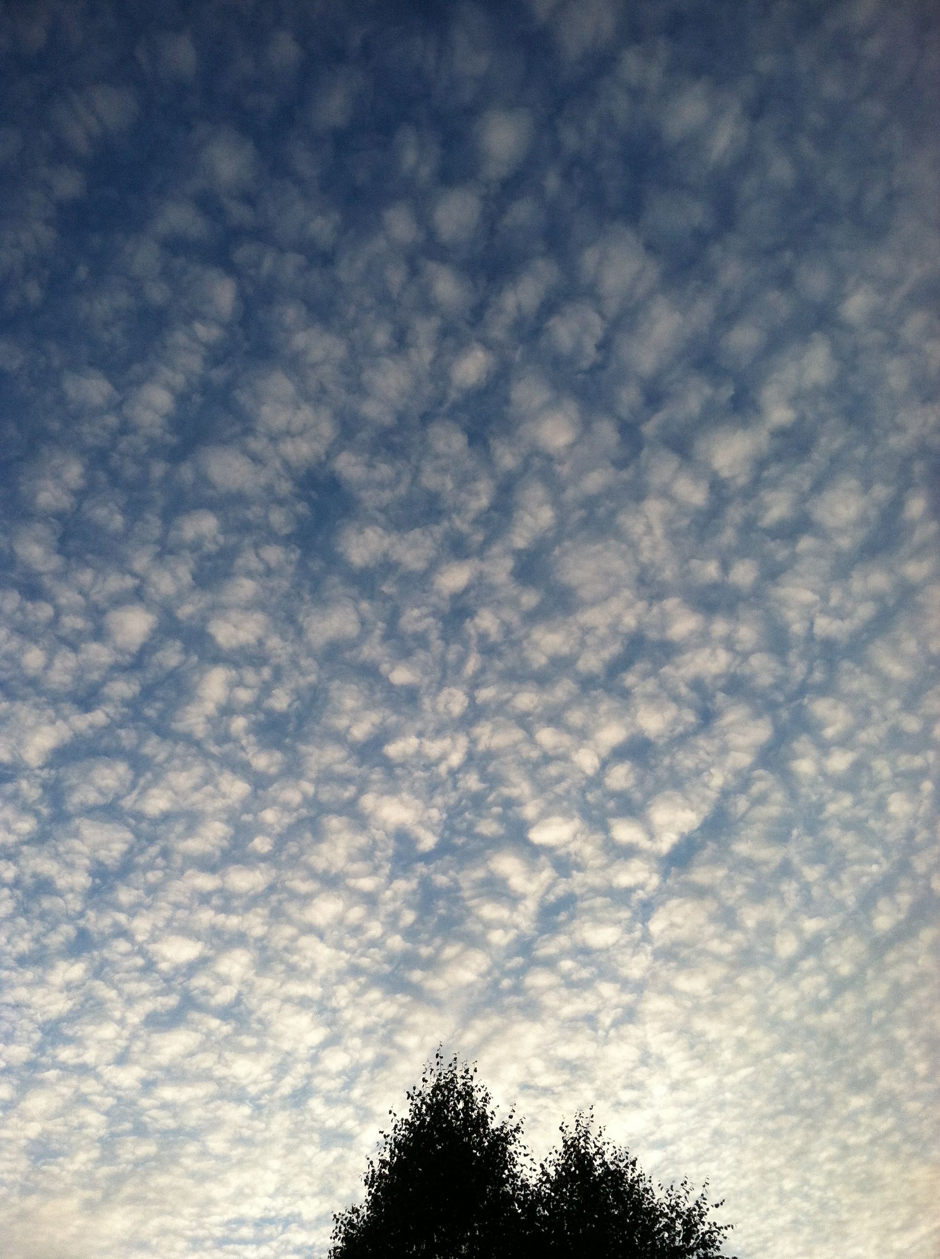 Cloud sky, Blue Ridge, Seattle