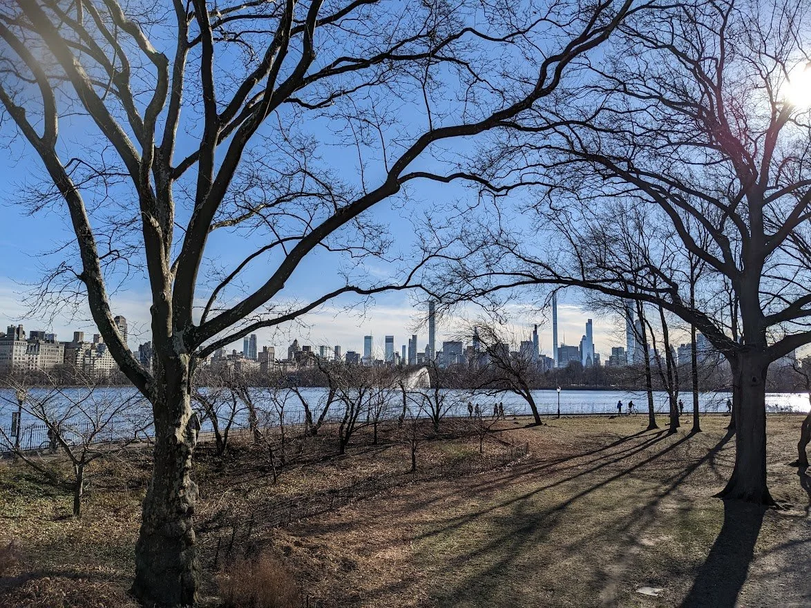  New York City skyline and Jackie Onassis Reservoir, viewed from Central Park West playgrounds 