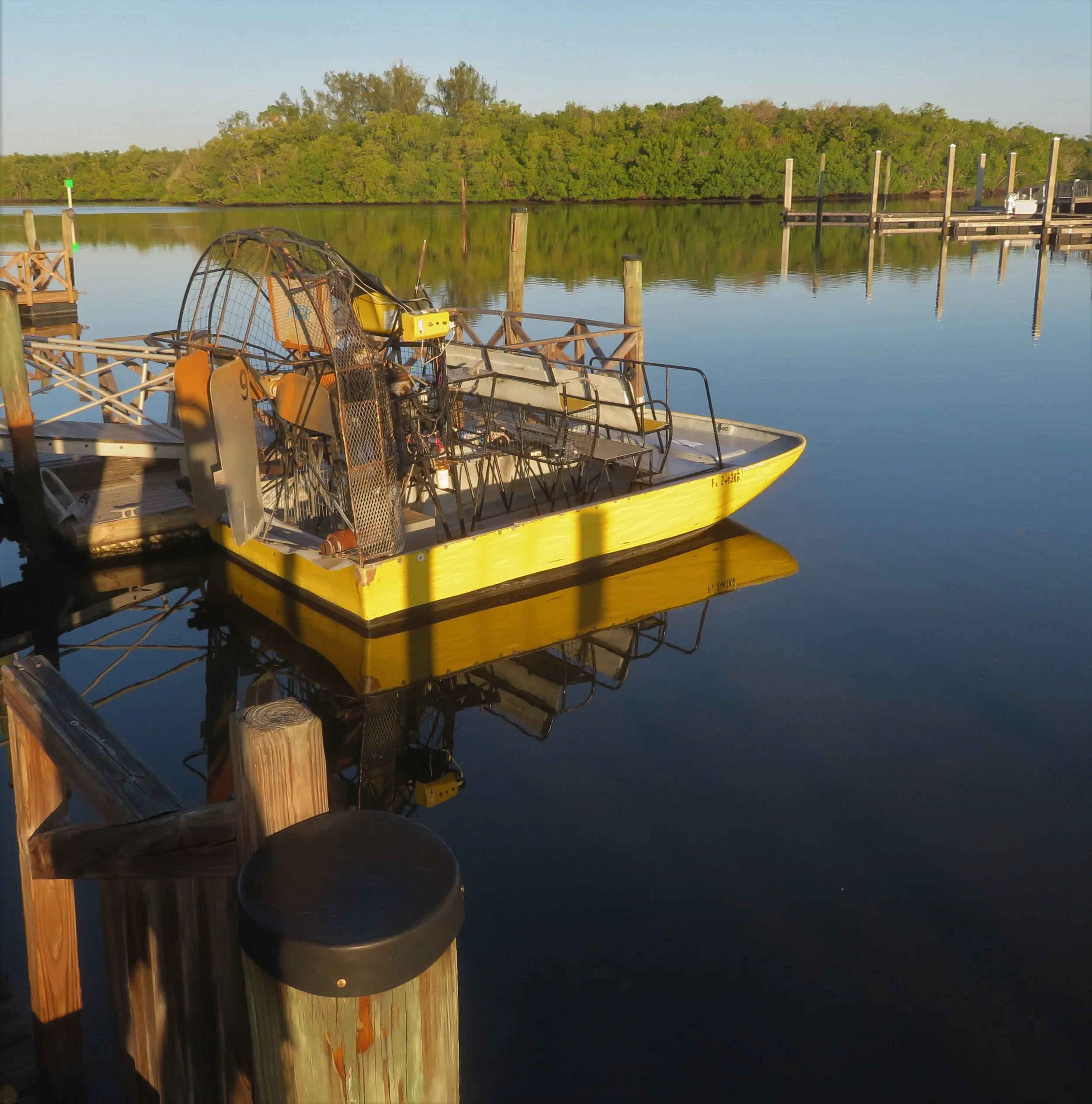  Airboat, Everglades City, FL 