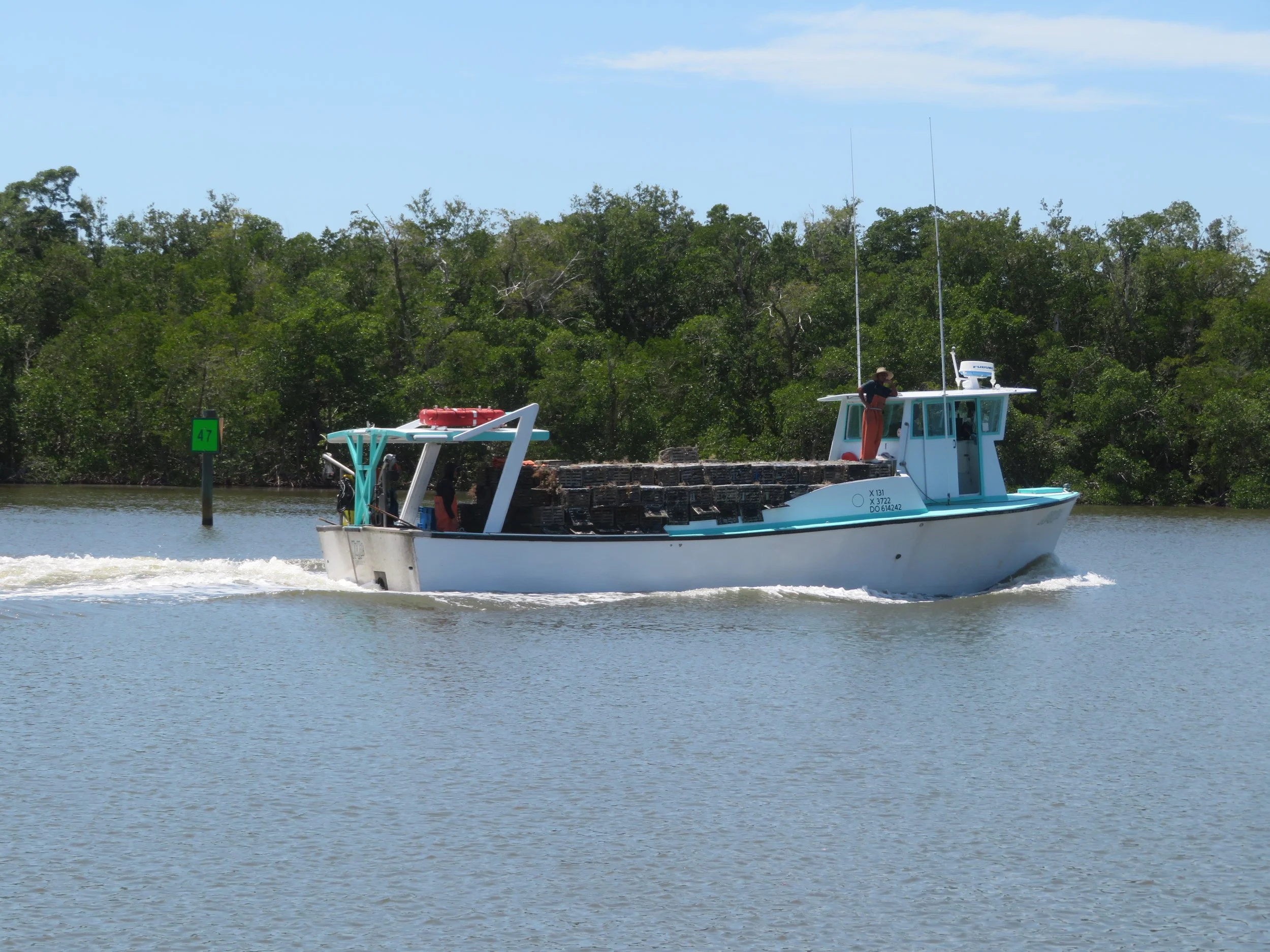  Stone crab boat returning to port, Everglades City, FL 