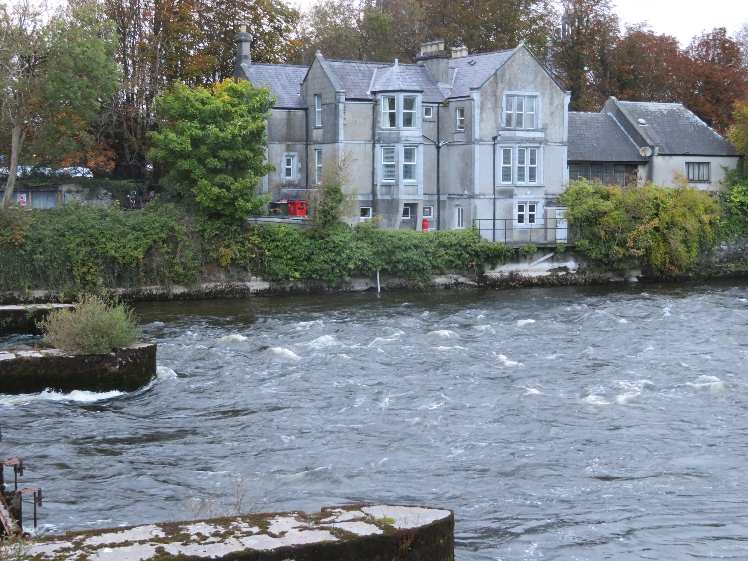  River Corrib, Galway, Ireland 