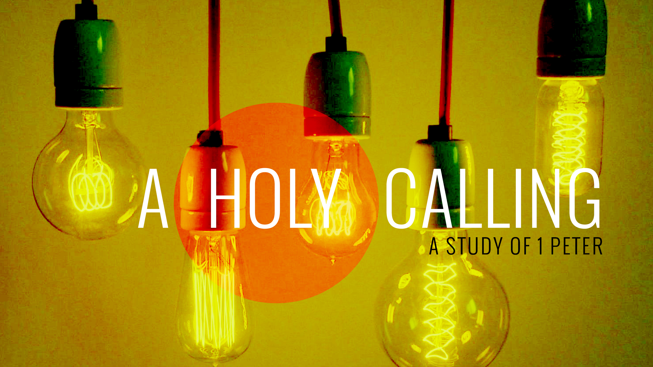 A Holy Calling Series
