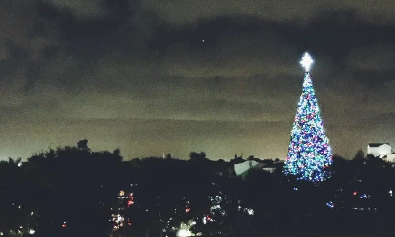 TreeLighting4.jpg