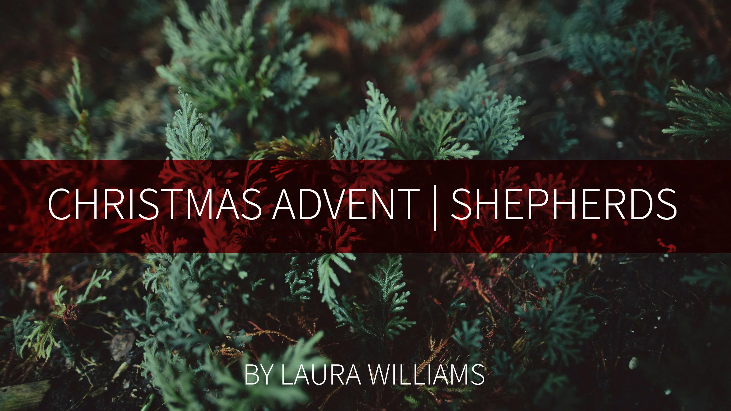 Christmas Advent - shepherds.jpg