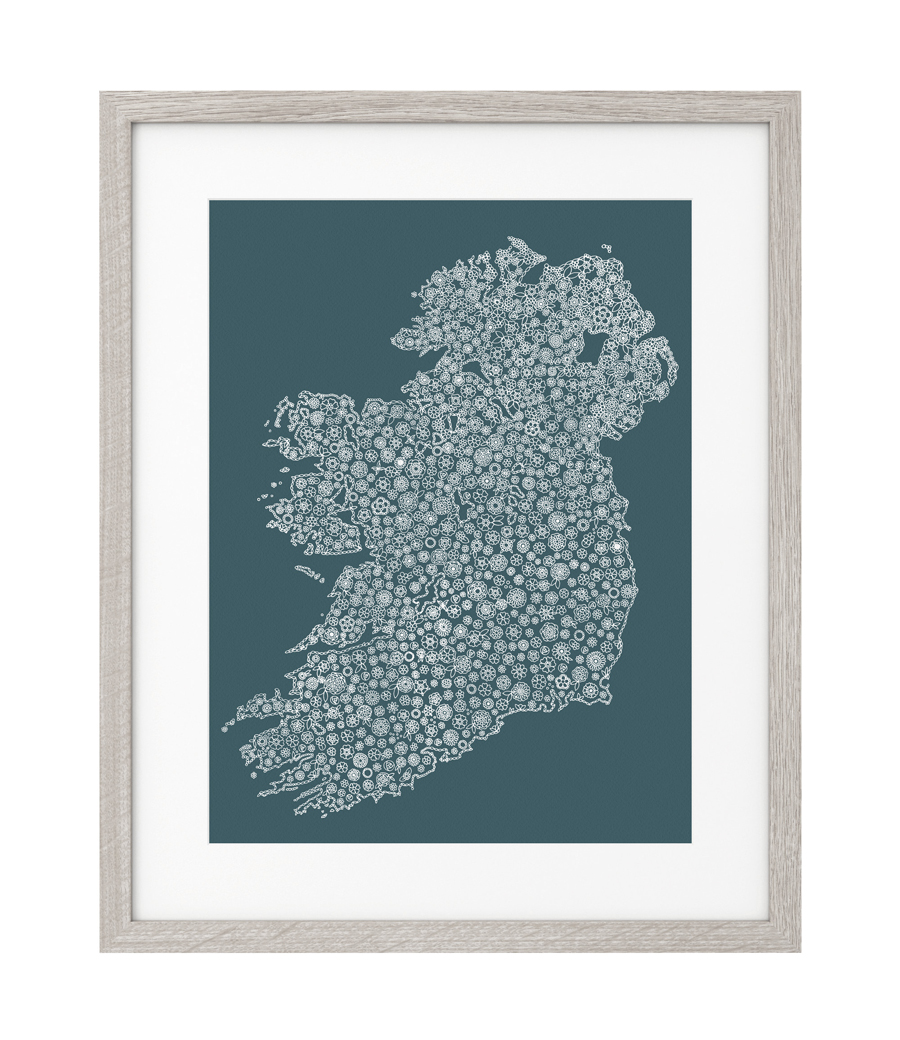 Ireland in Bloom