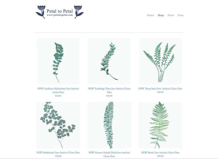 FERNCollection.jpg
