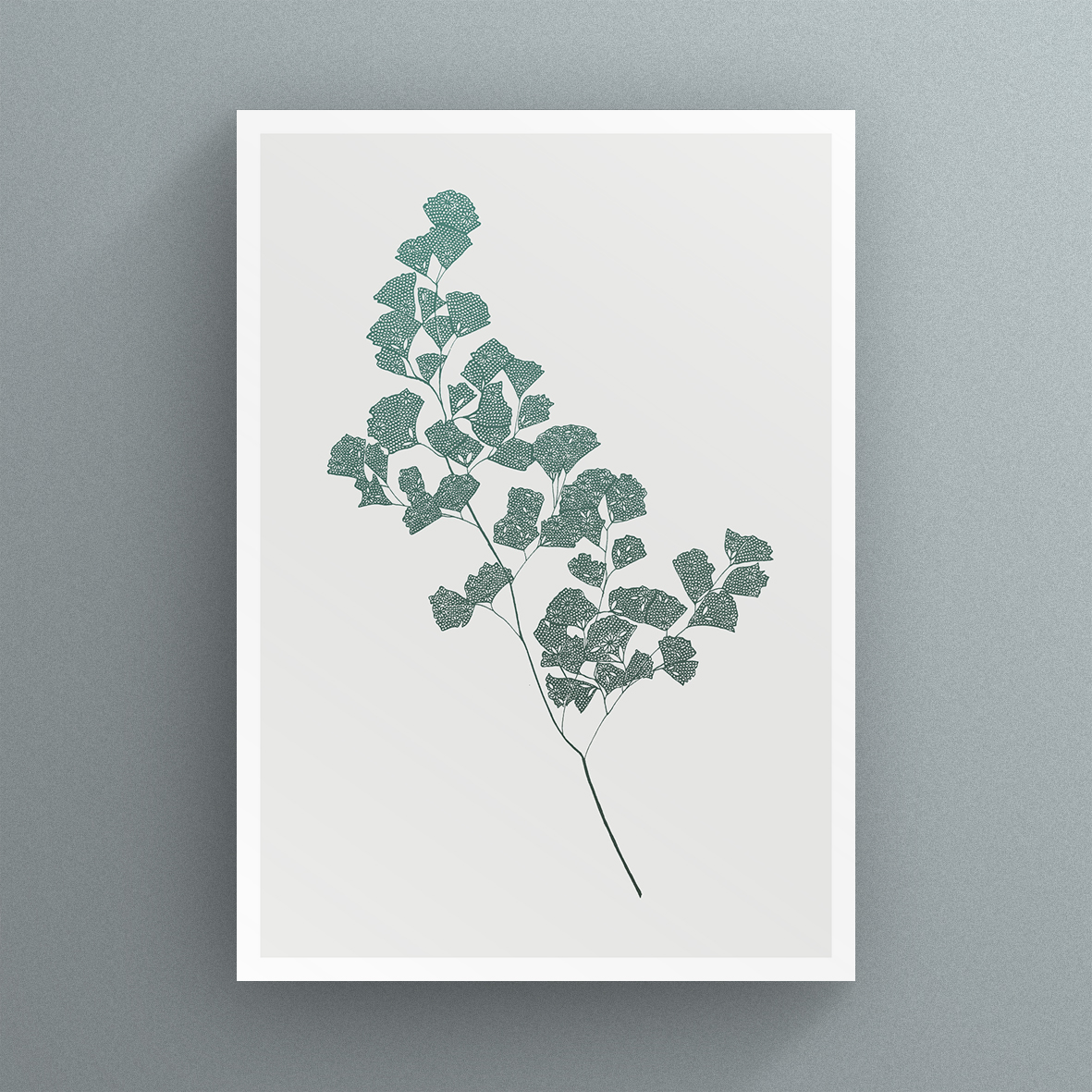 Fern_2_card.jpg