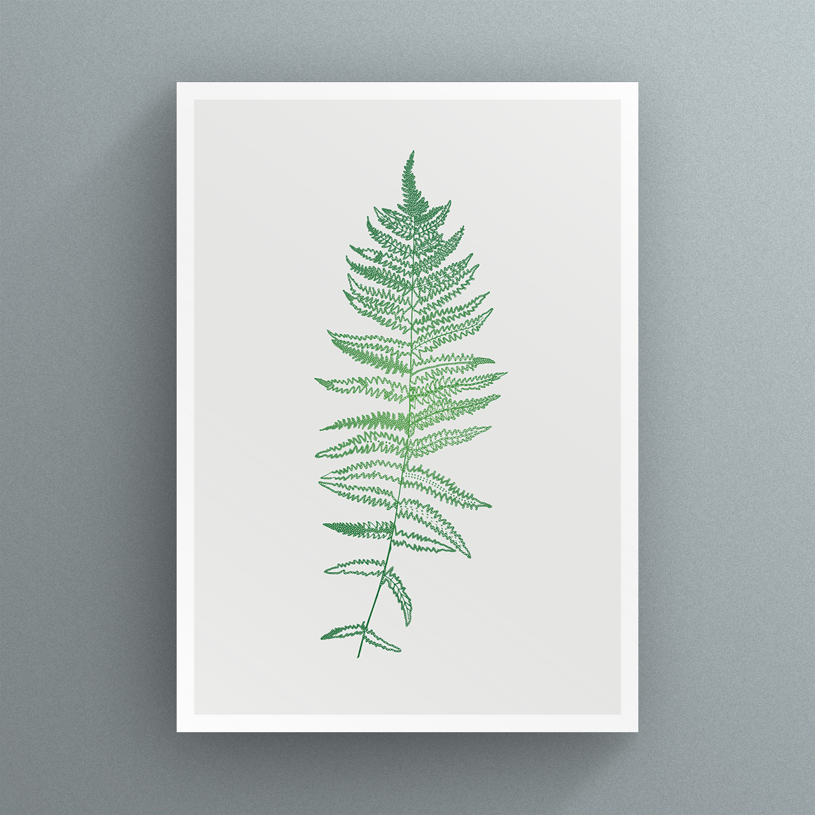 Fern_3_card.jpg