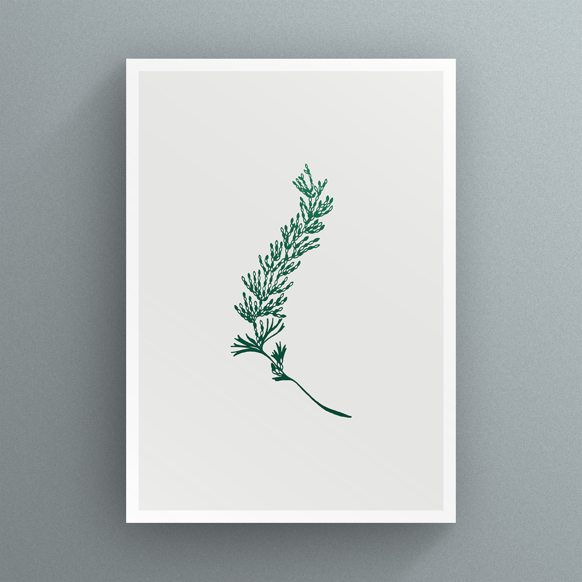 Fern_4_card.jpg