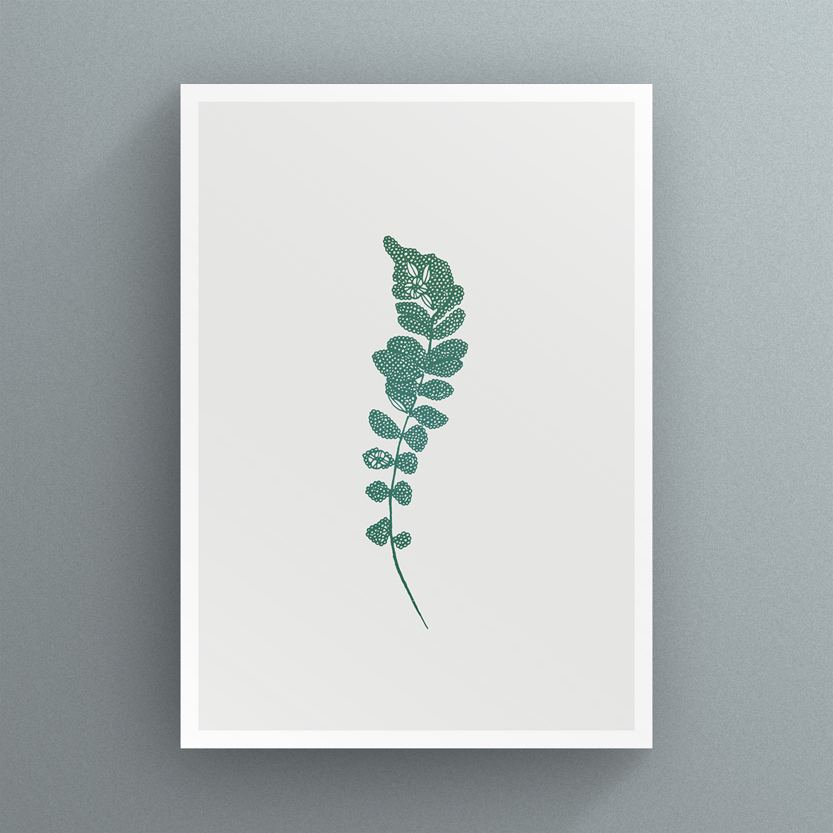 Fern_5_card.jpg