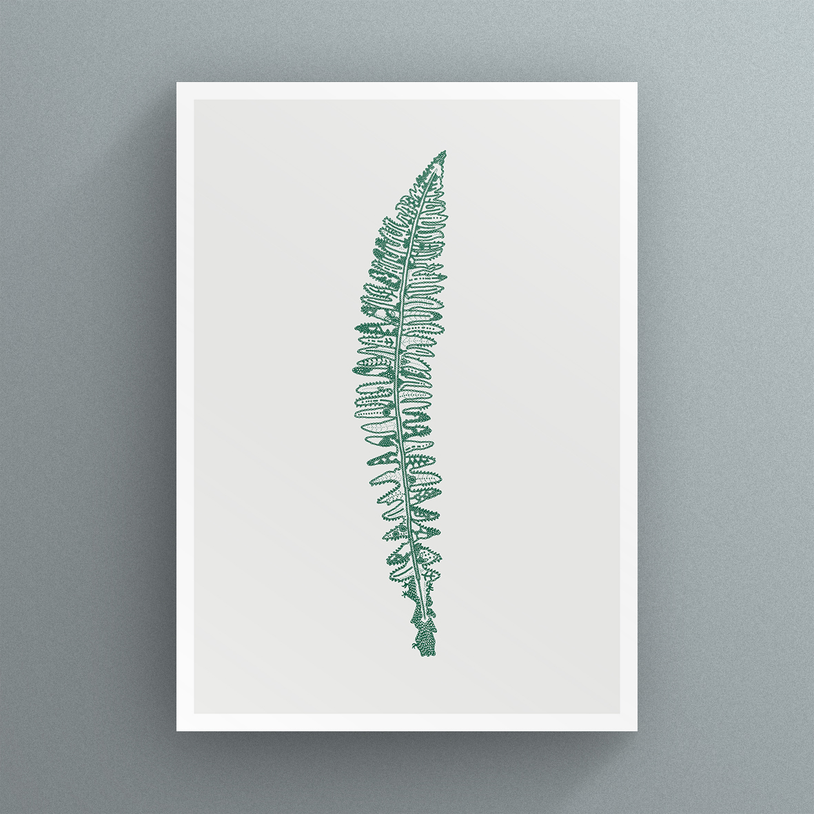 Fern_Shield_Card.jpg