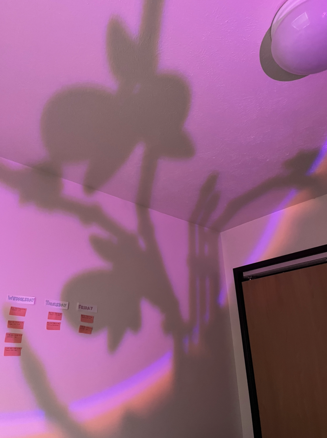 Course: Introduction to Art (non-majors)