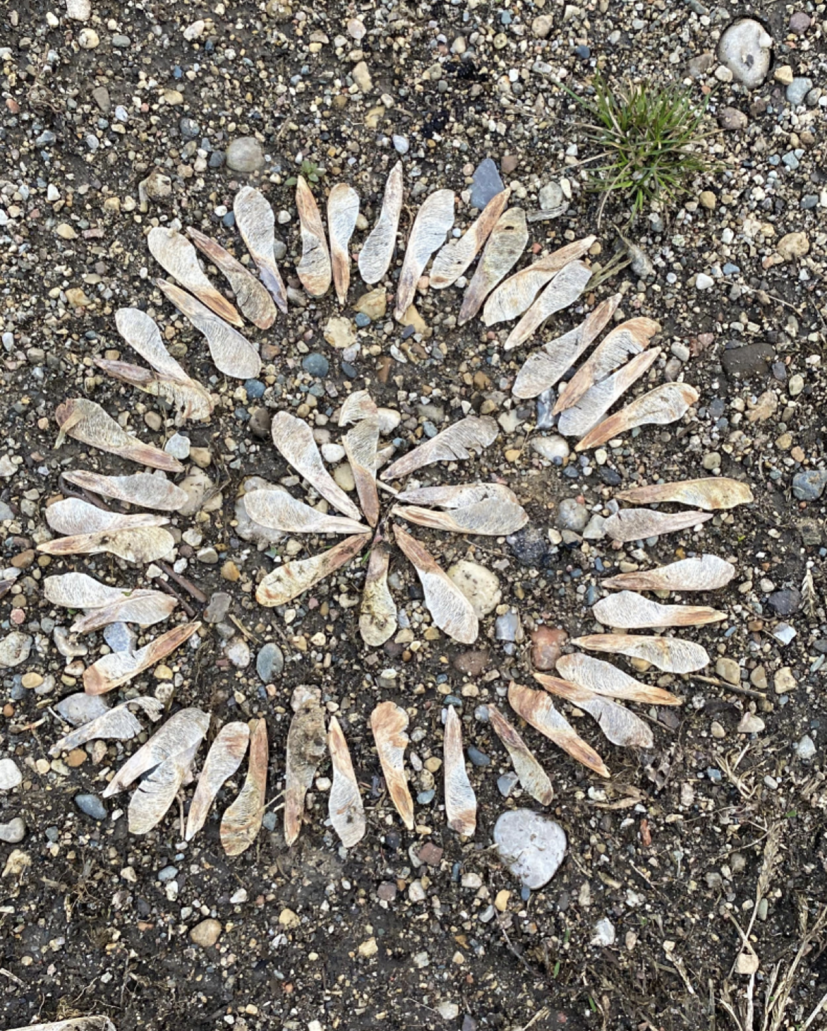 Course: Introduction to Art (non-majors)