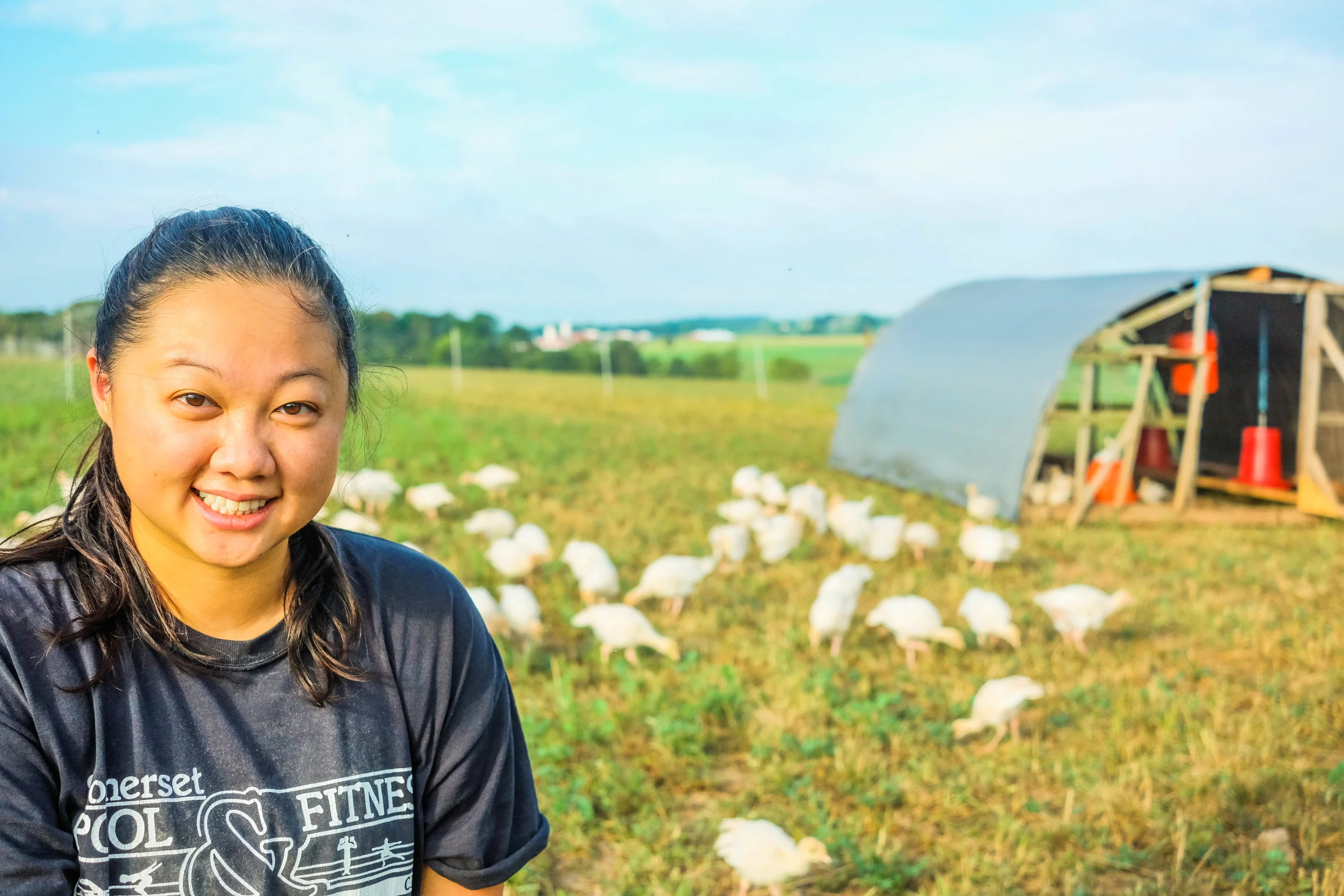 Farm hand Angela Lin watering the young turkeys at Lima Family Farms. Photo by Derek Vaughan Brown