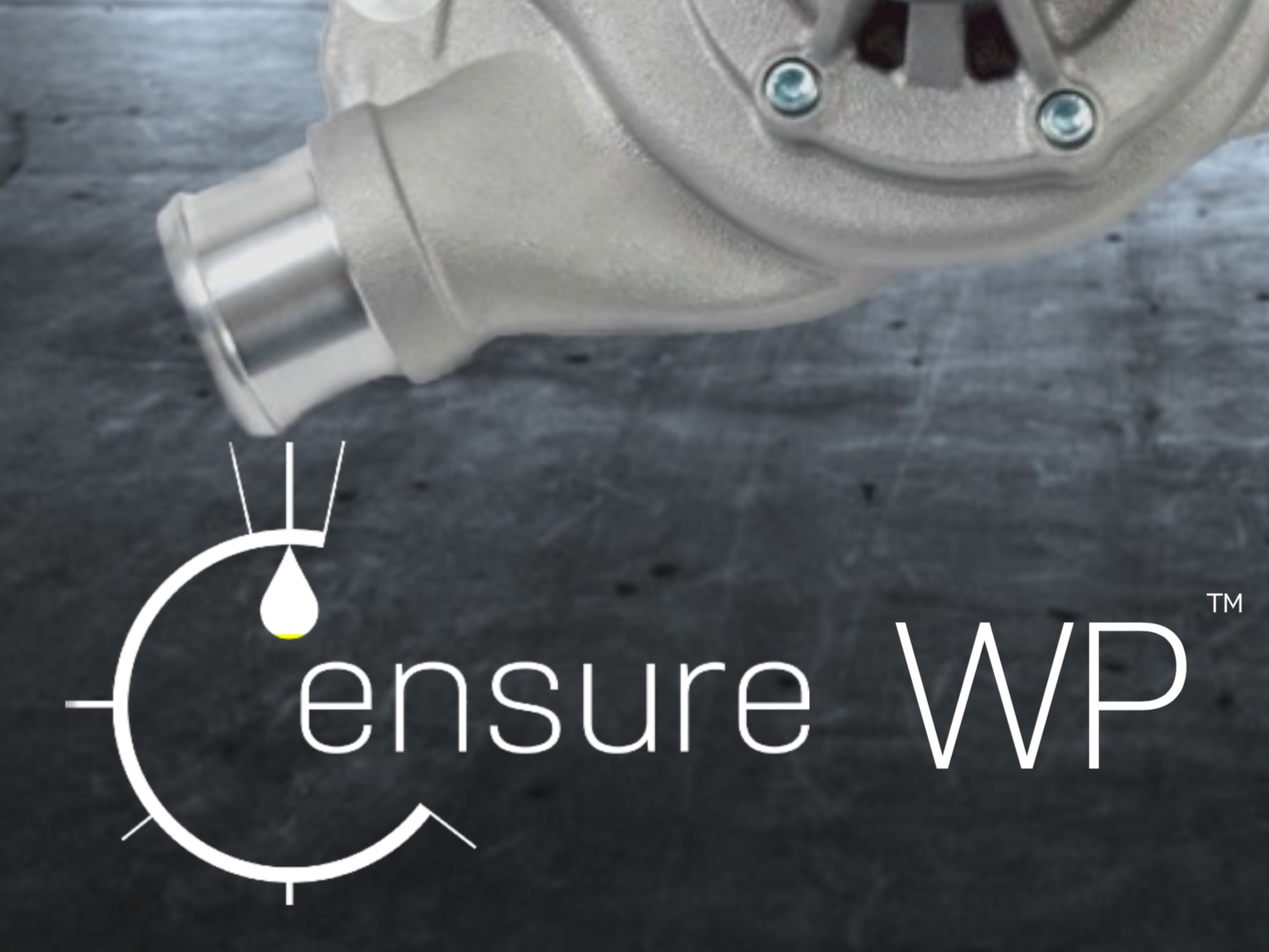 ensure wp banner.png