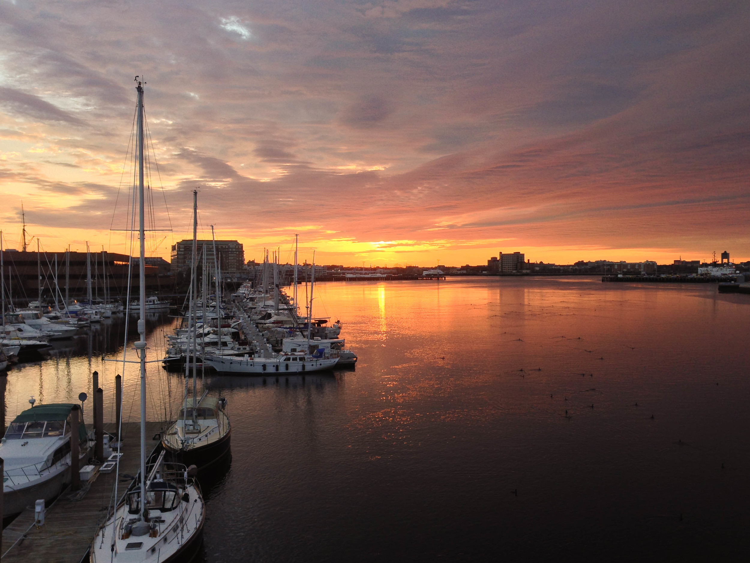 Boston Harbor, viewed from the North Washington Street bridge :: May 2014
