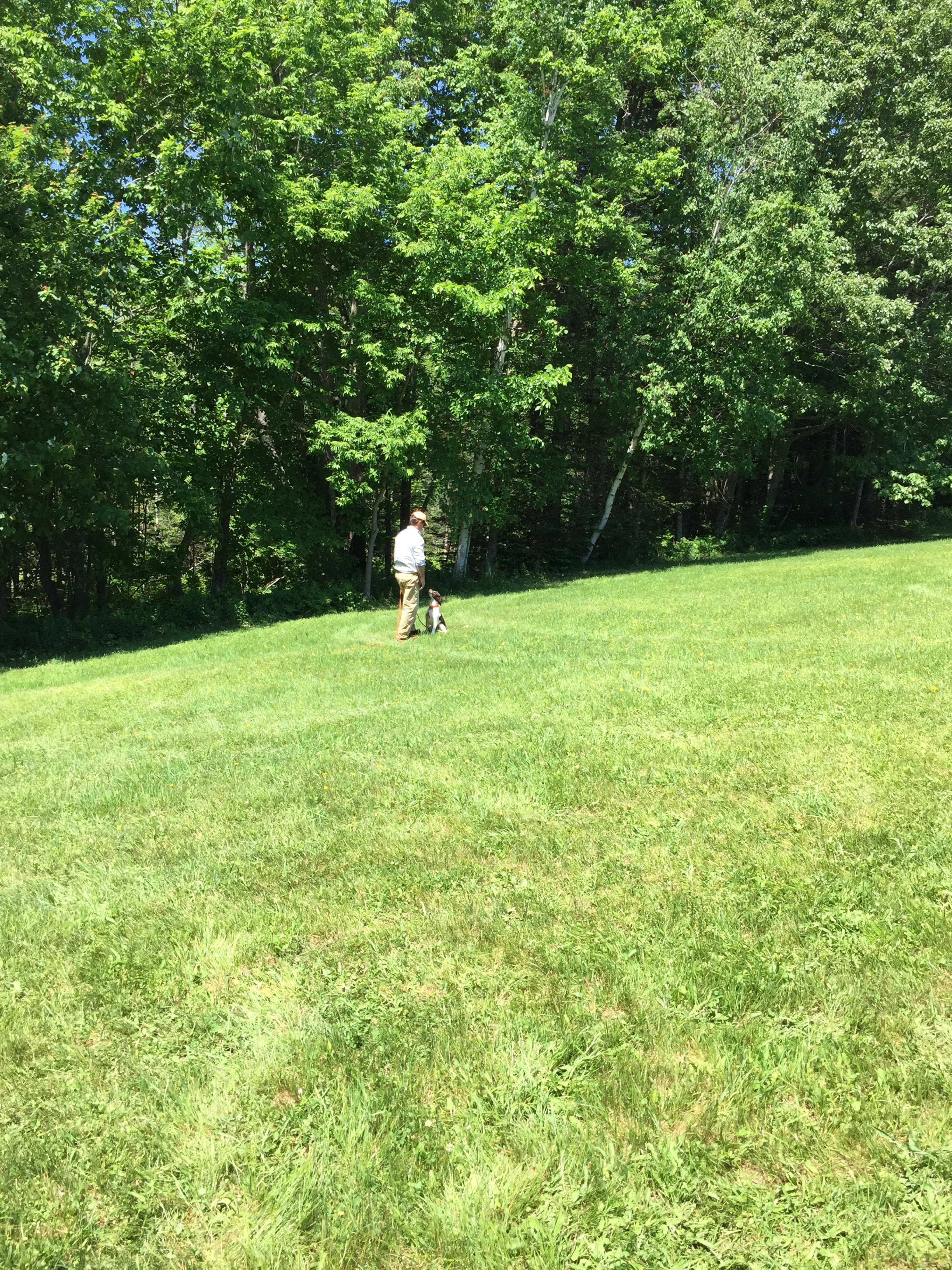 The Tune Up :: June 2015