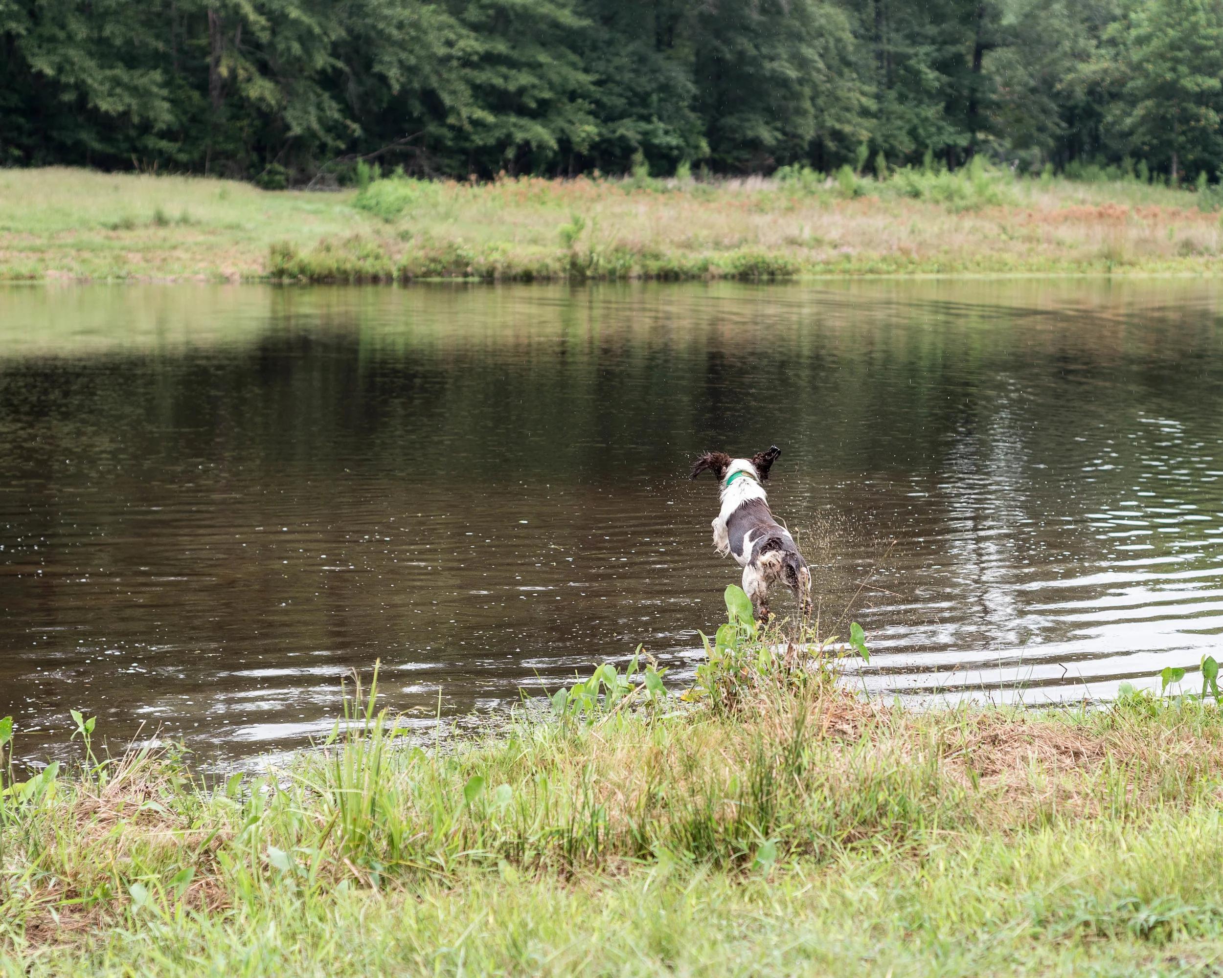 National Photo Posting Month :: Day 7