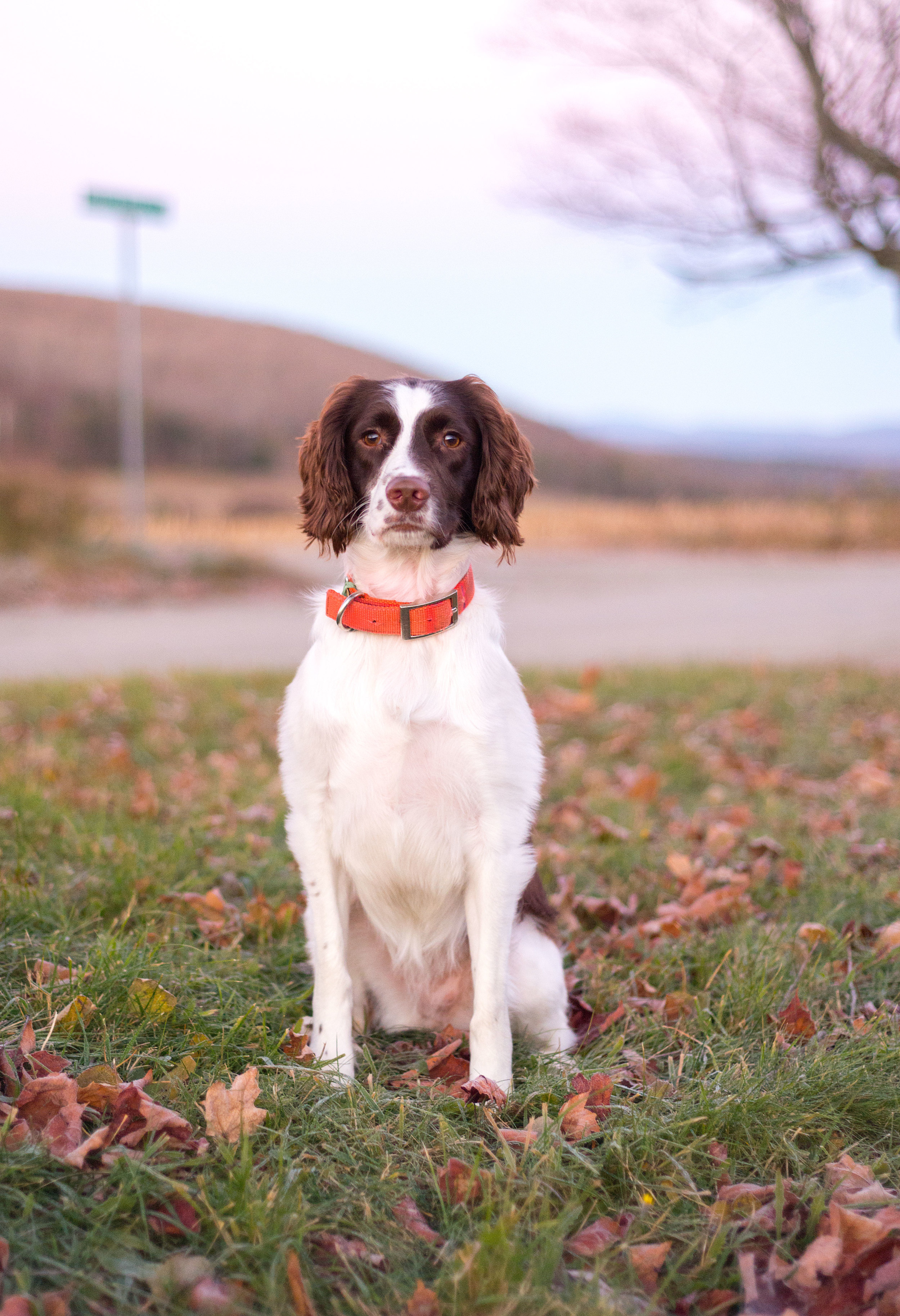 National Photo Posting Month :: November 8, 2015