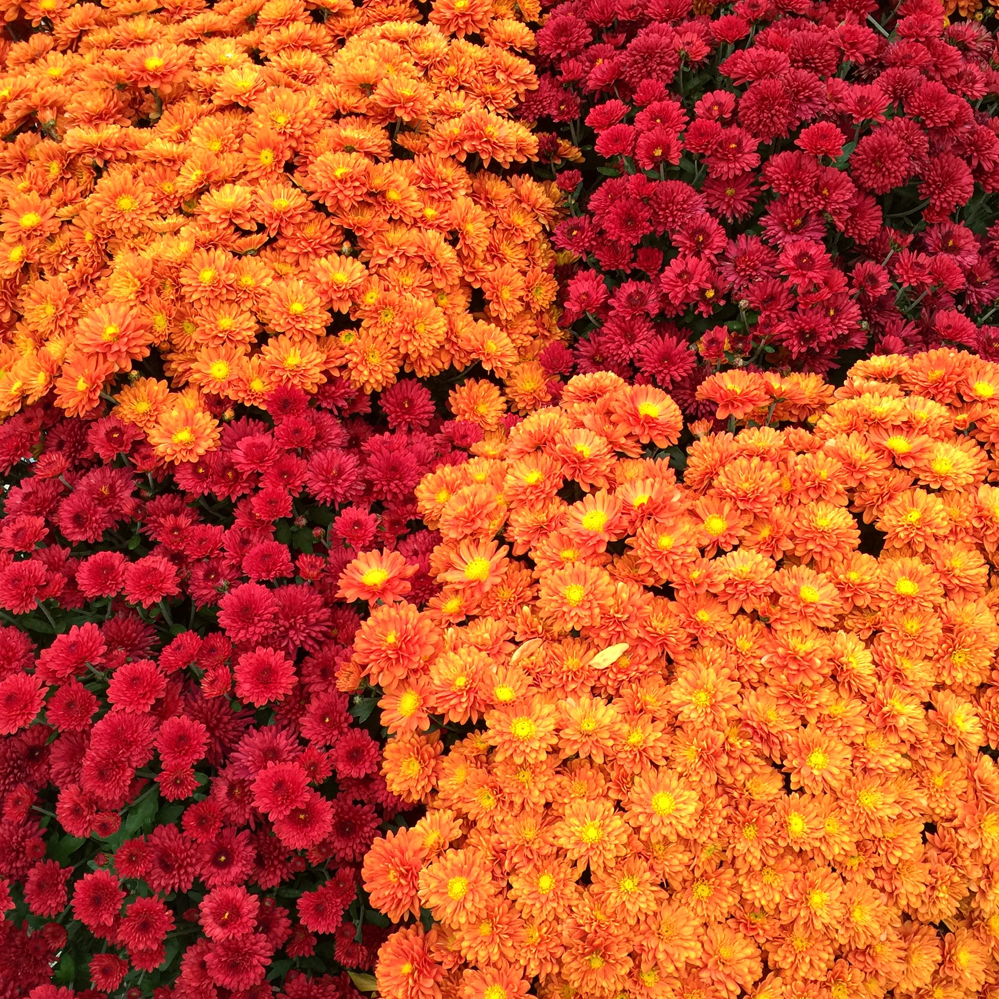 National Photo Posting Month :: November 14, 2015